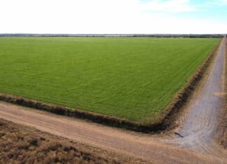 246 acres Farm/Ranch/Recreational Property for Sale in Iowa Park TX