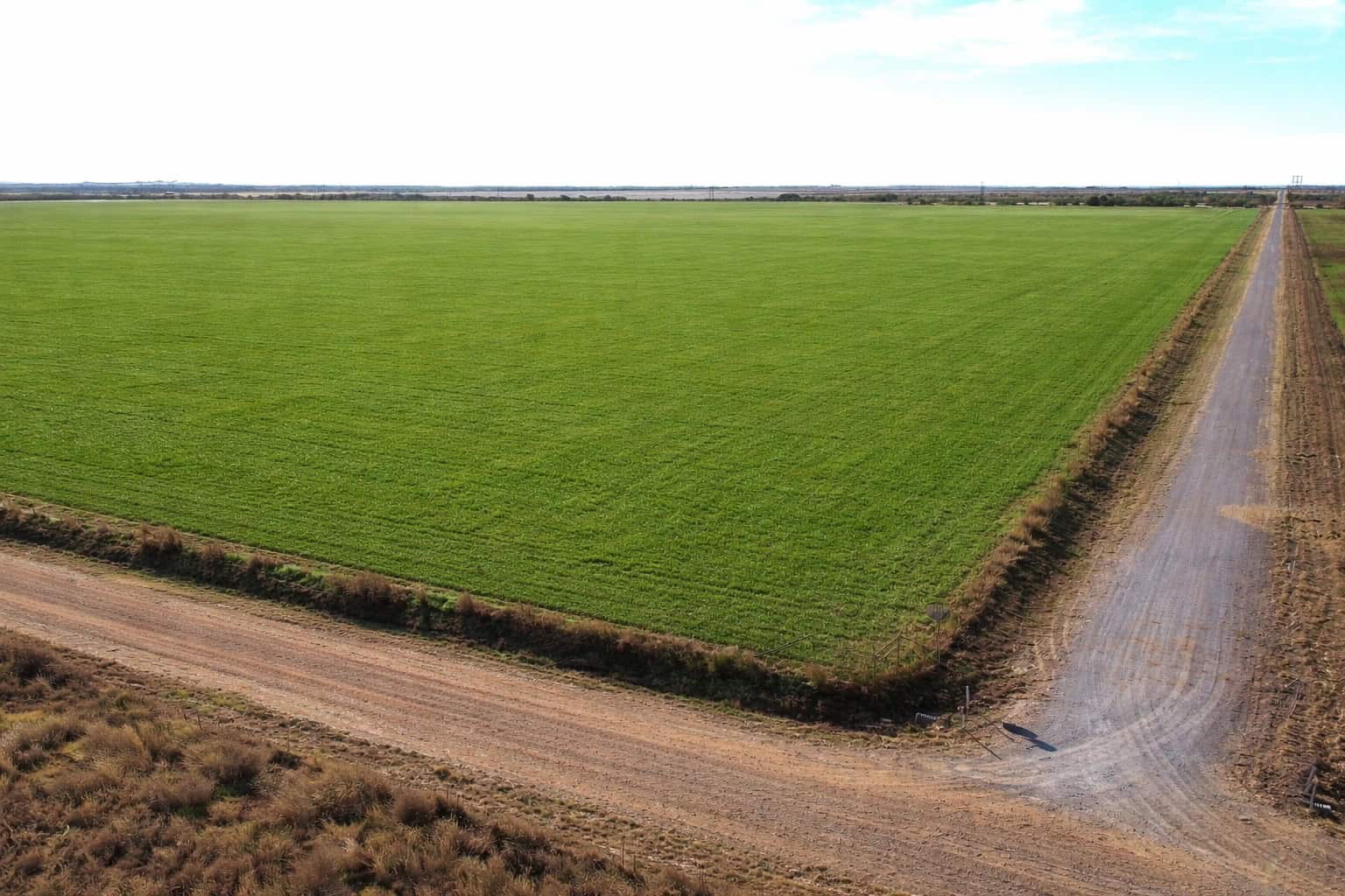246 acres Farm/Ranch/Recreational Property for Sale in Iowa Park TX