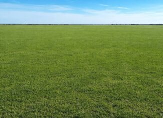246 acres Farm/Ranch/Recreational Property for Sale in Iowa Park TX