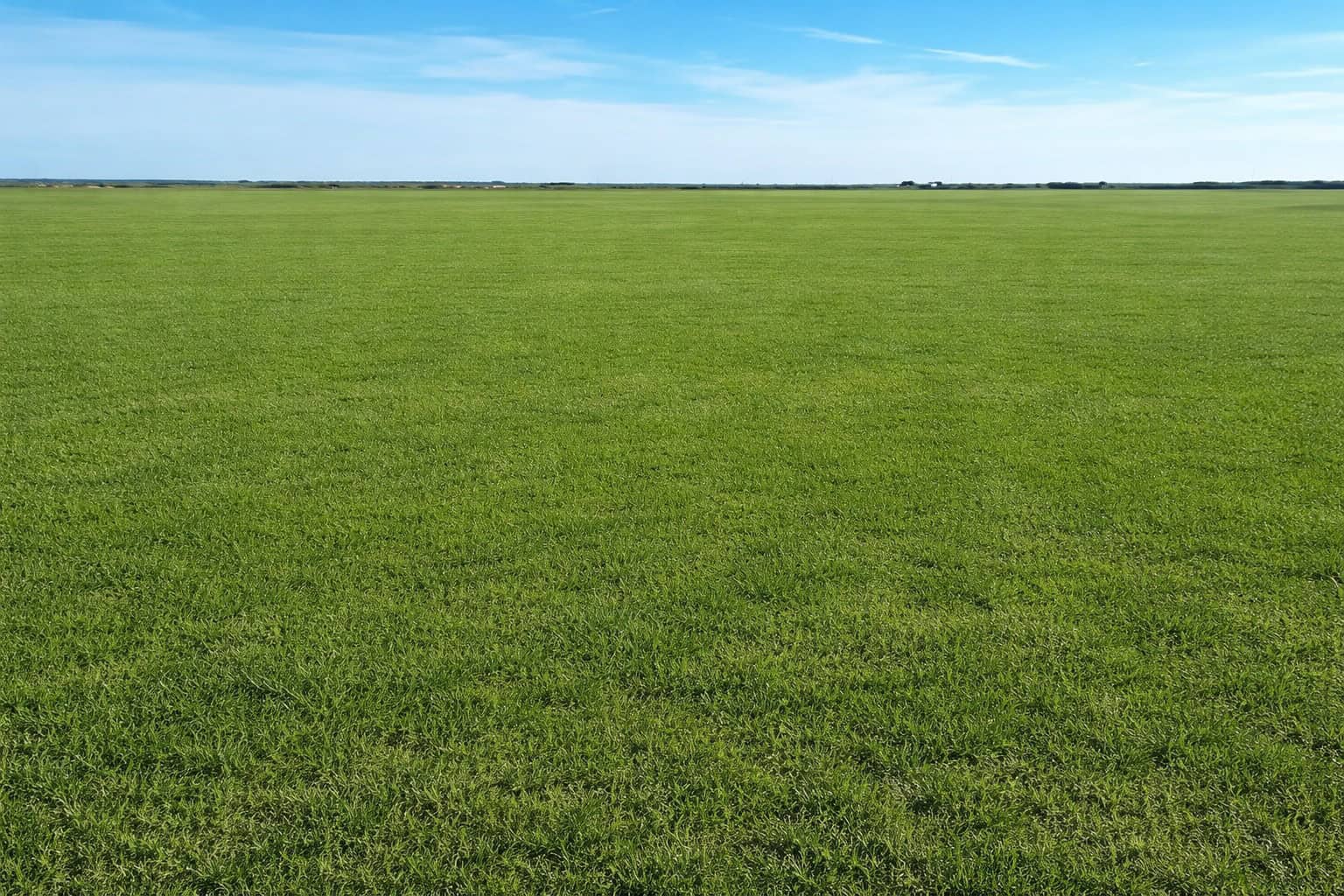 246 acres Farm/Ranch/Recreational Property for Sale in Iowa Park TX