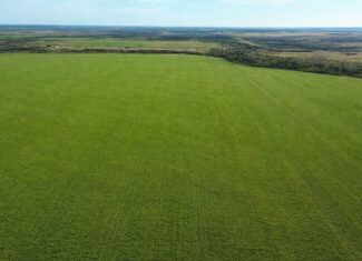 246 acres Farm/Ranch/Recreational Property for Sale in Iowa Park TX