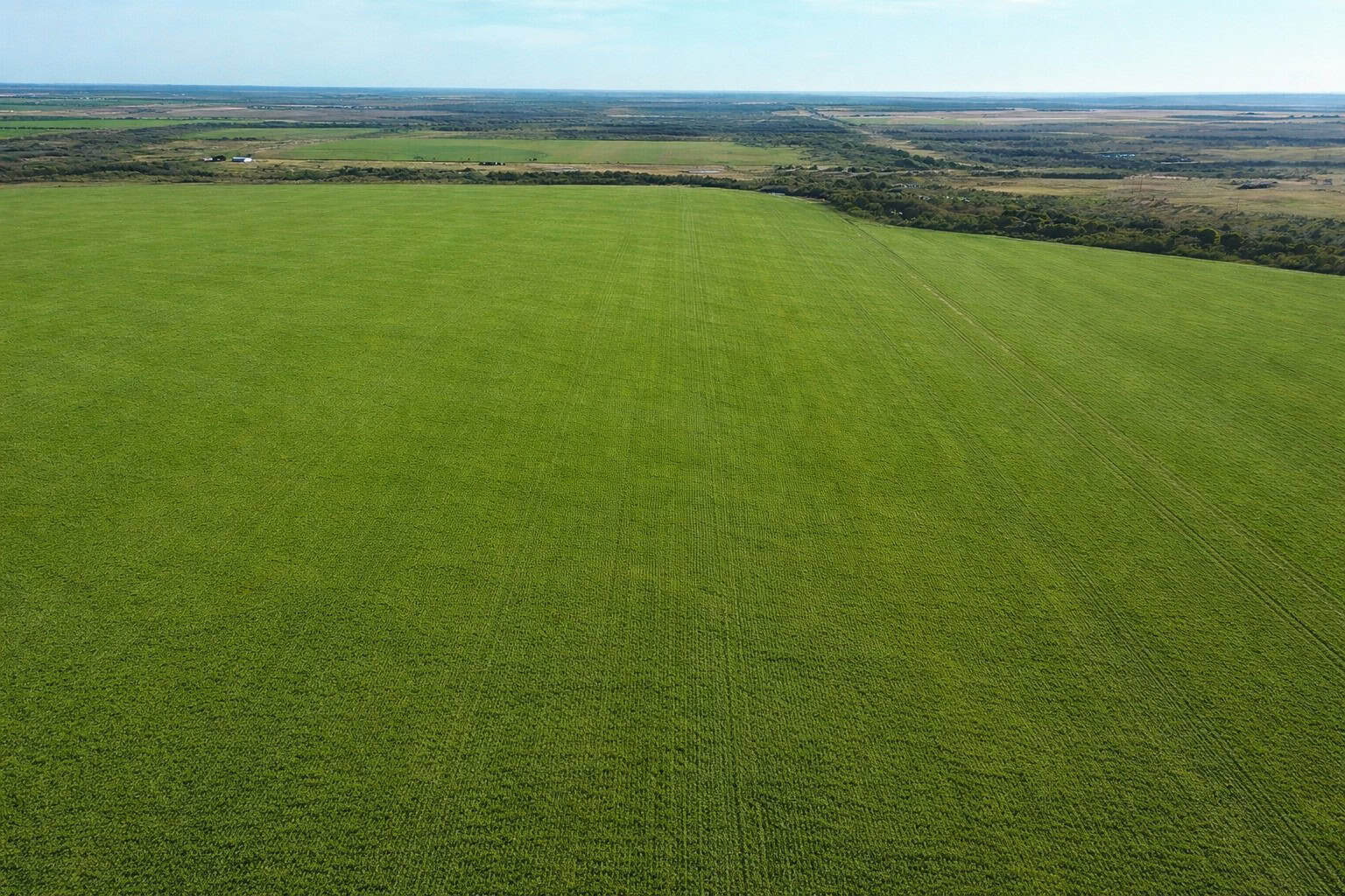 246 acres Farm/Ranch/Recreational Property for Sale in Iowa Park TX