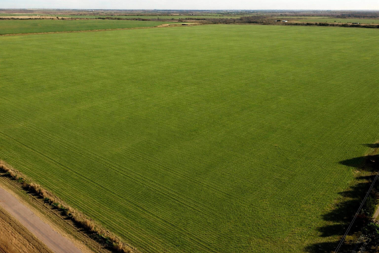 246 acres Farm/Ranch/Recreational Property for Sale in Iowa Park TX