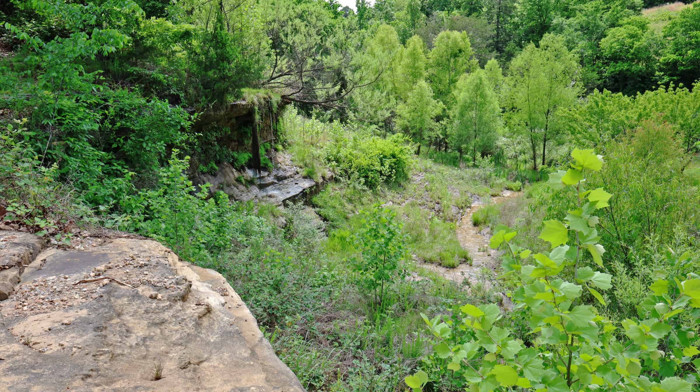 HOME AND LARGE ACREAGE FOR SALE IN NORTH CENTRAL ARKANSAS