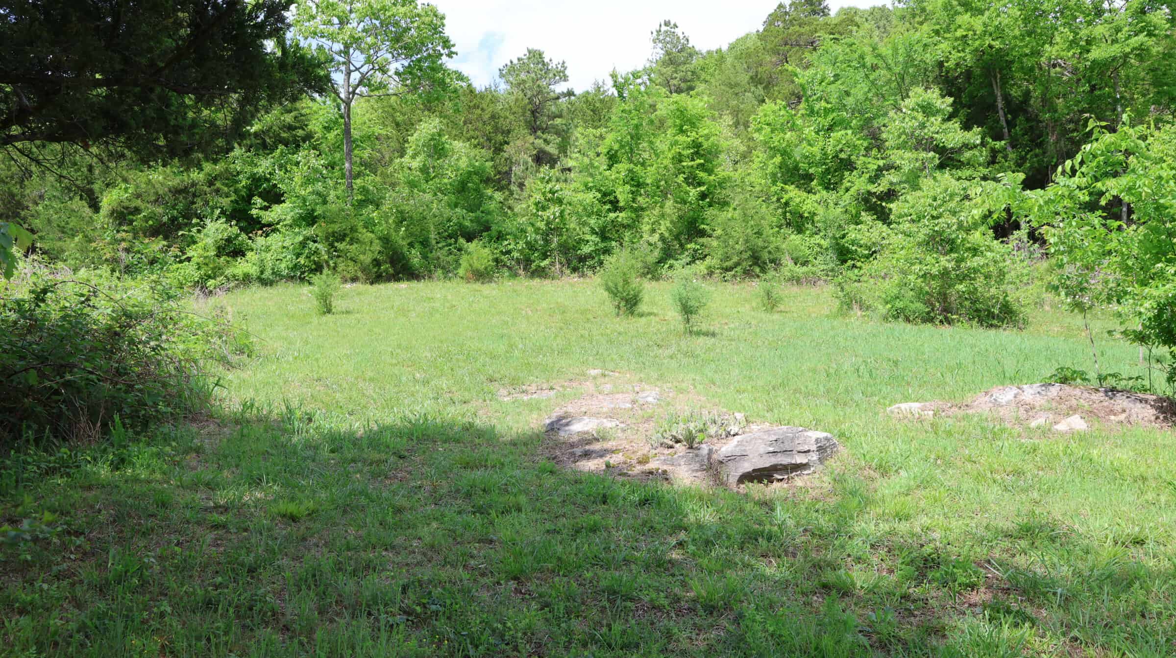 HOME AND LARGE ACREAGE FOR SALE IN NORTH CENTRAL ARKANSAS