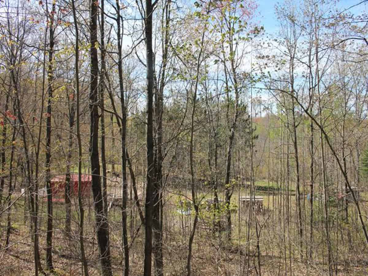 130 Acre Wisconsin Hunting Property for Sale in Marinette County WI