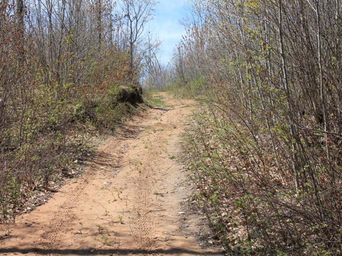 130 Acre Wisconsin Hunting Property for Sale in Marinette County WI