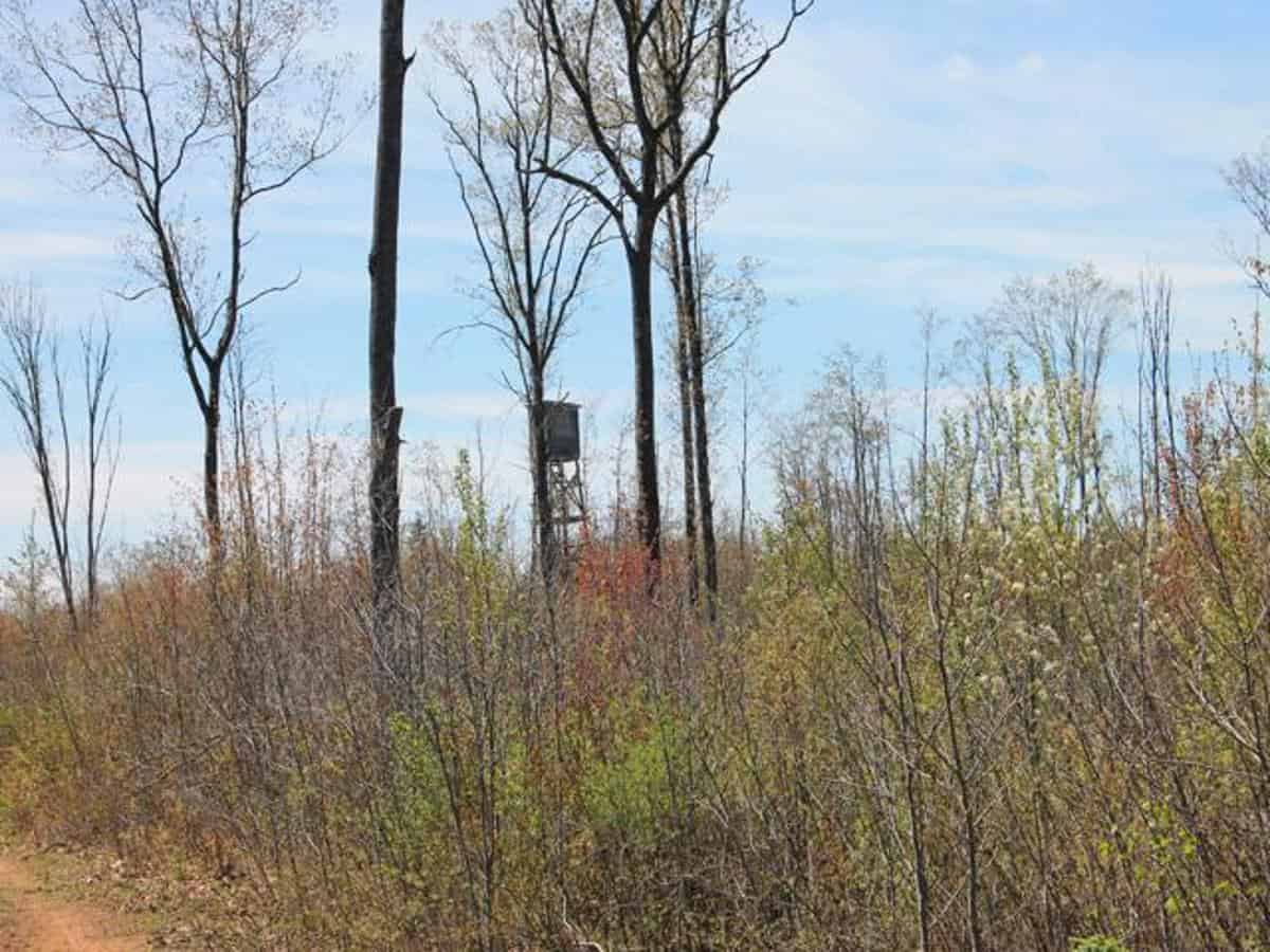 130 Acre Wisconsin Hunting Property for Sale in Marinette County WI