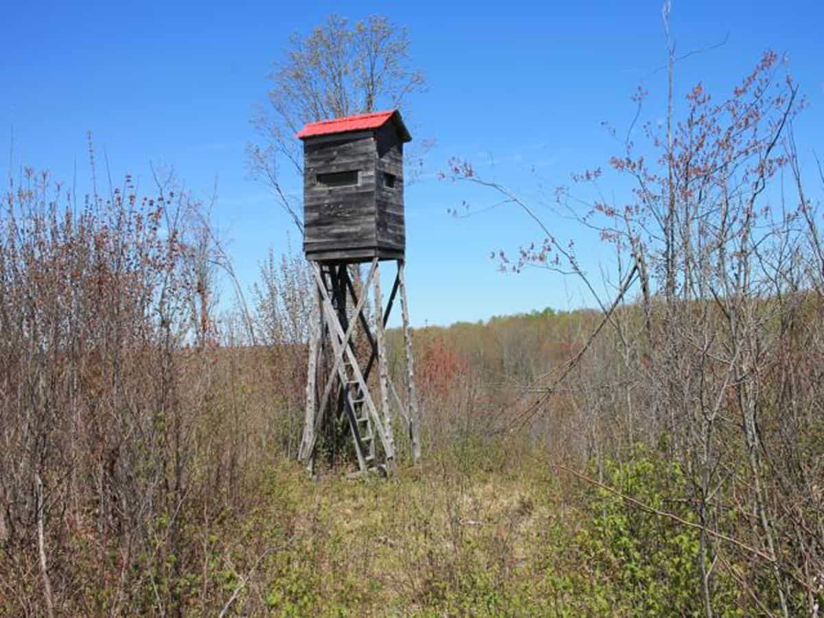 130 Acre Wisconsin Hunting Property for Sale in Marinette County WI
