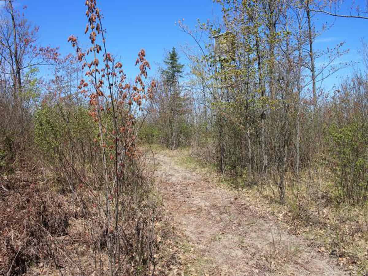 130 Acre Wisconsin Hunting Property for Sale in Marinette County WI