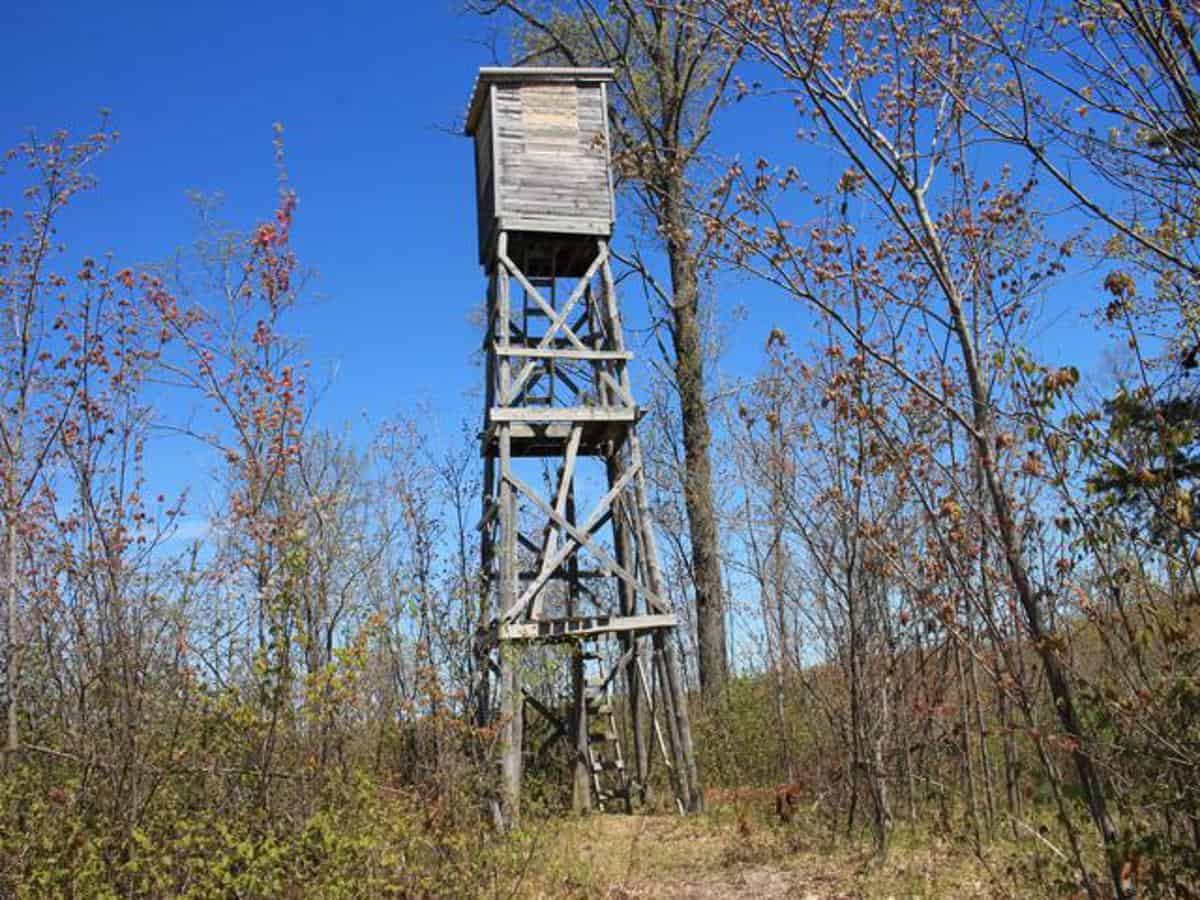 130 Acre Wisconsin Hunting Property for Sale in Marinette County WI
