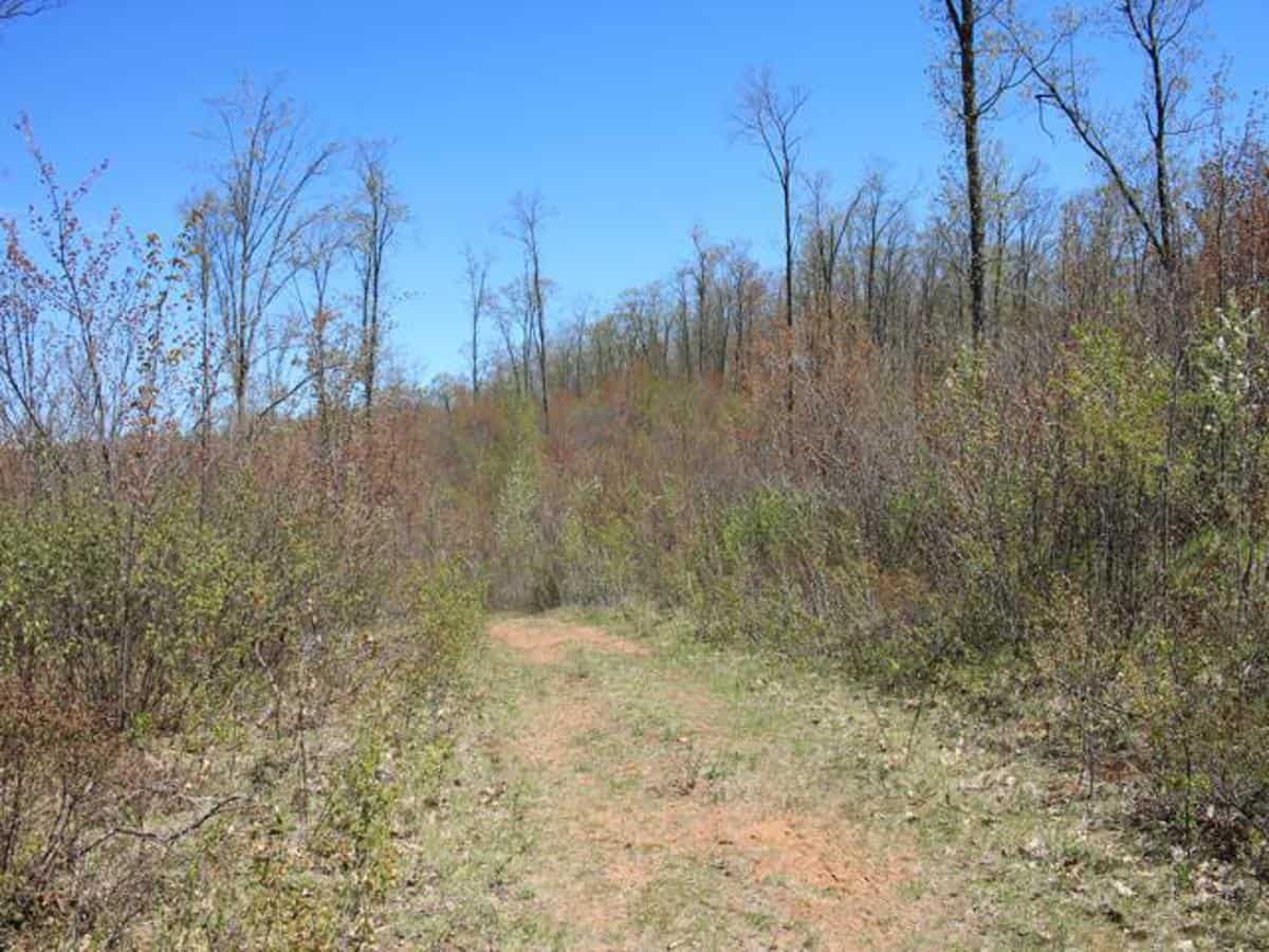 130 Acre Wisconsin Hunting Property for Sale in Marinette County WI