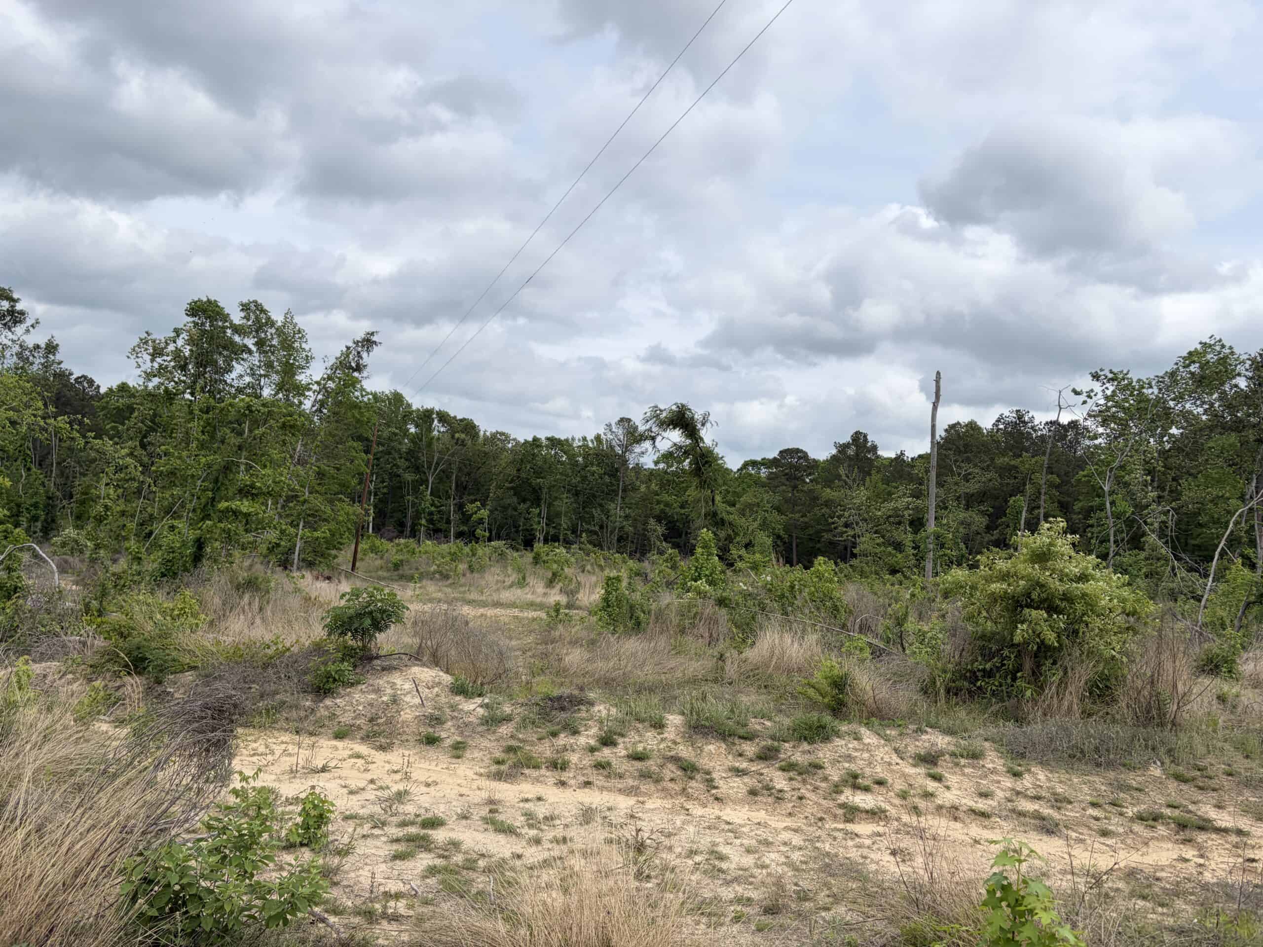 ±92 Acres Hunting & Timber Land in East TX