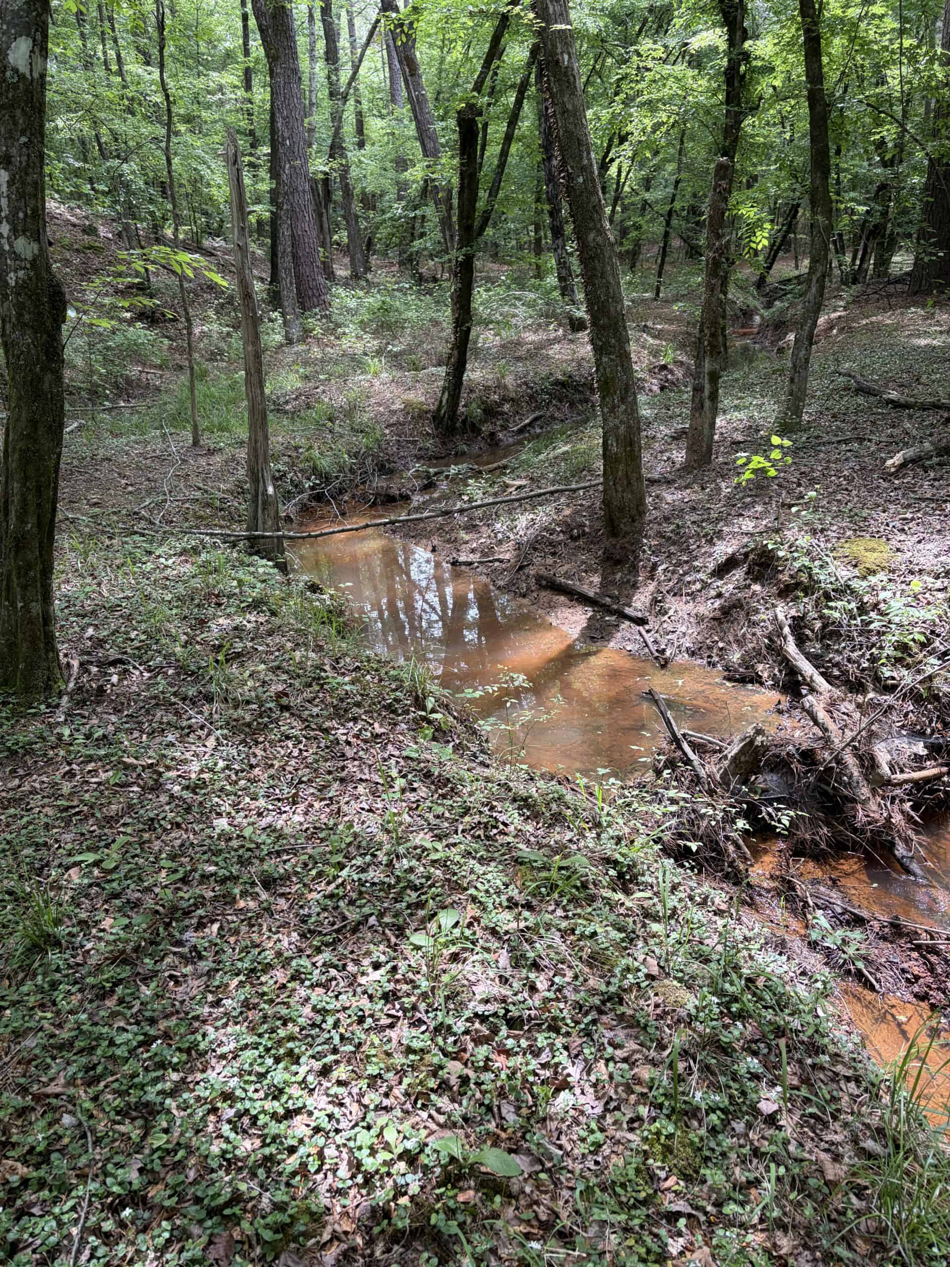 ±92 Acres Hunting & Timber Land in East TX