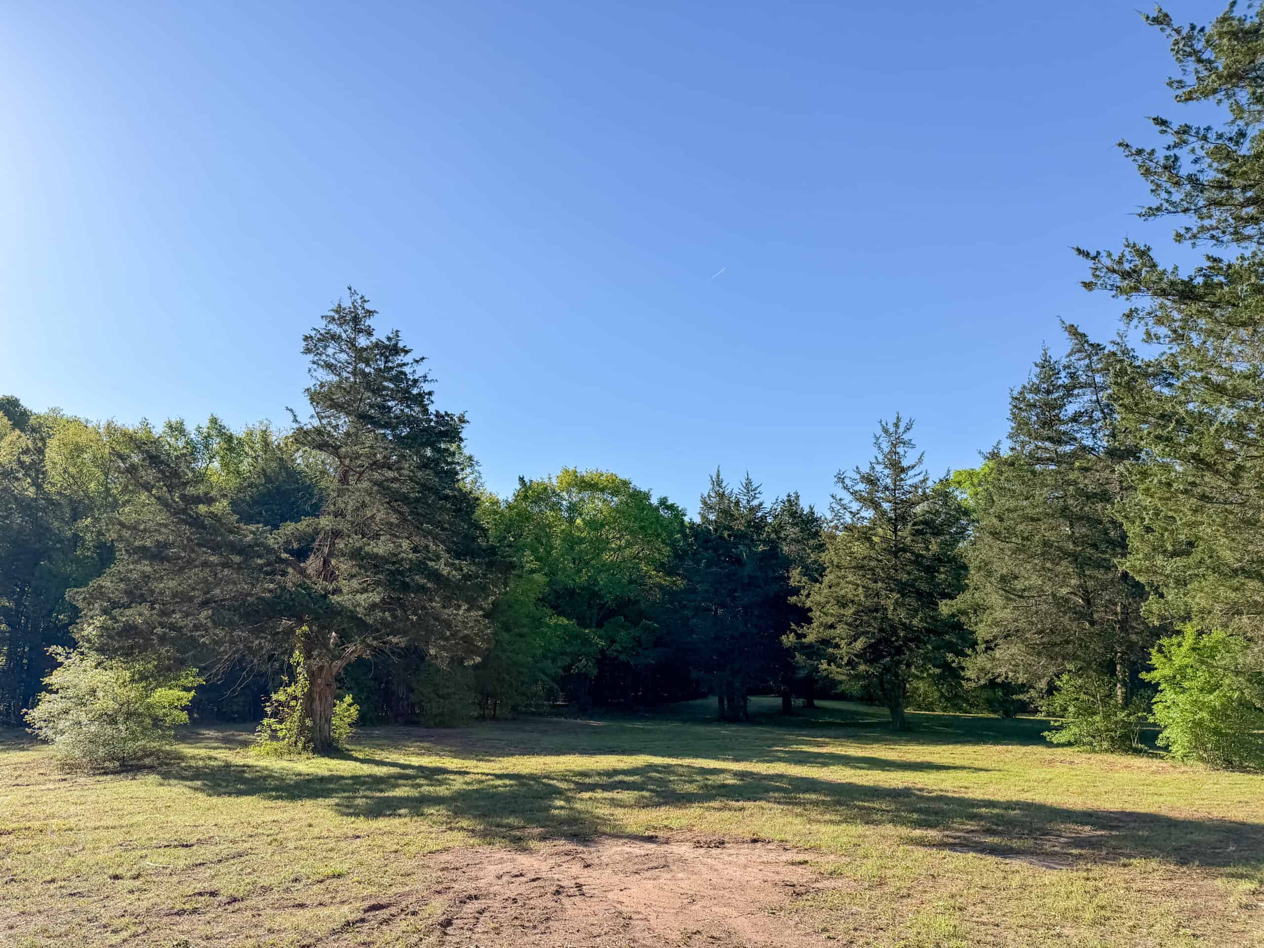 Texas Hunting & Recreational Land Auction