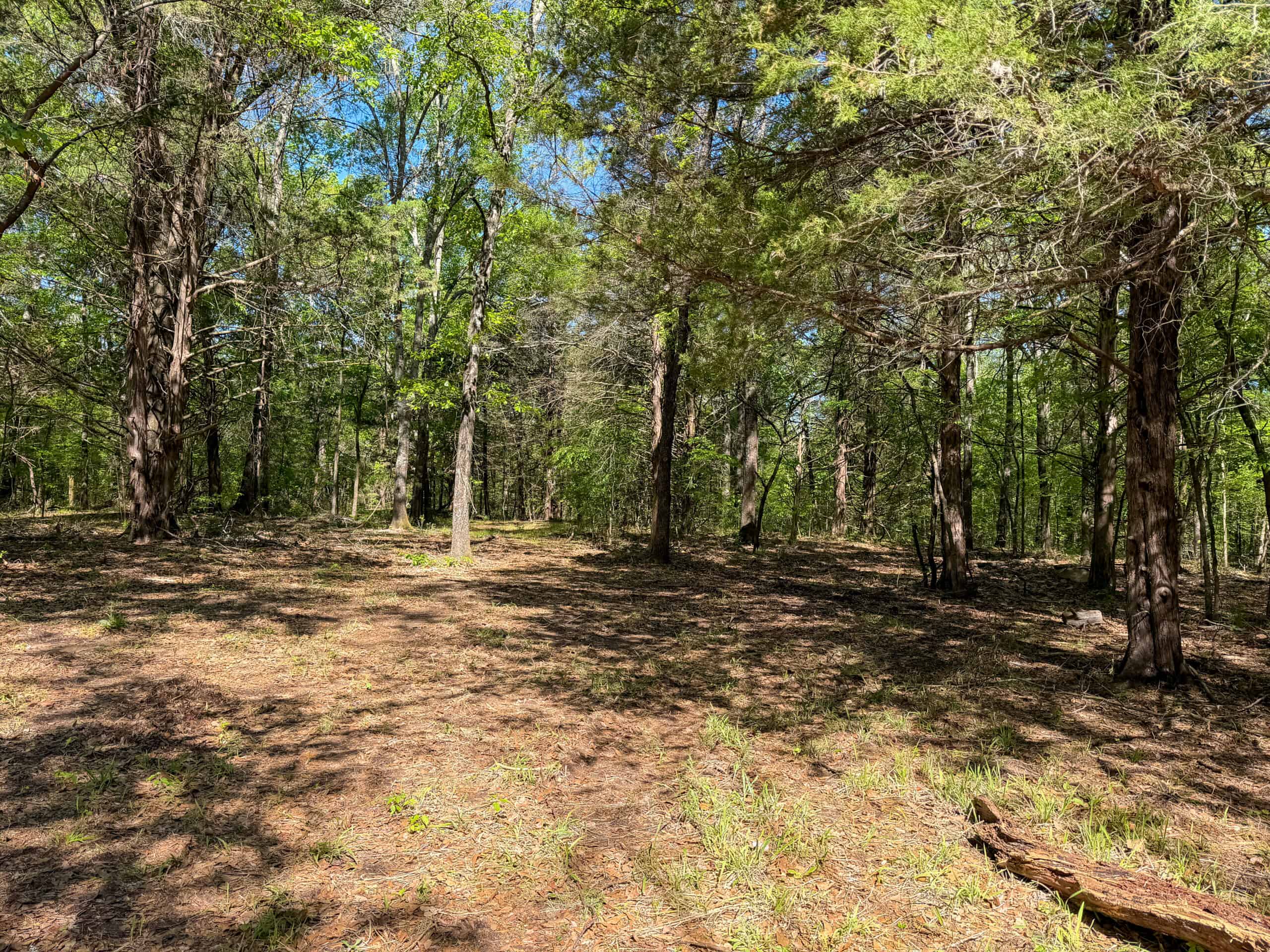 Texas Hunting & Recreational Land Auction