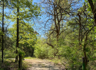 Texas Hunting & Recreational Land Auction