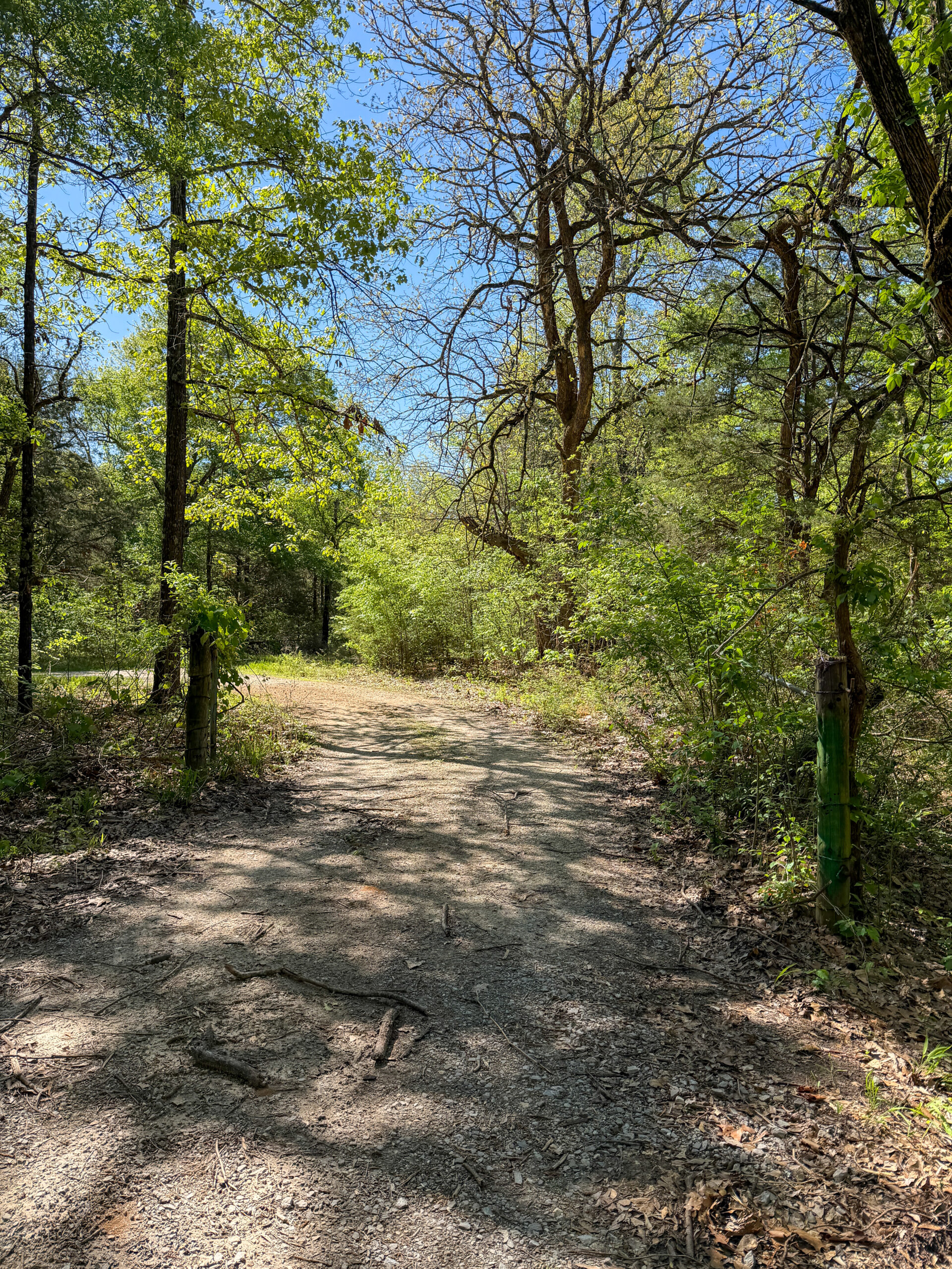 Texas Hunting & Recreational Land Auction