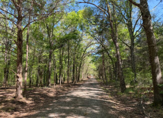 Texas Hunting & Recreational Land Auction