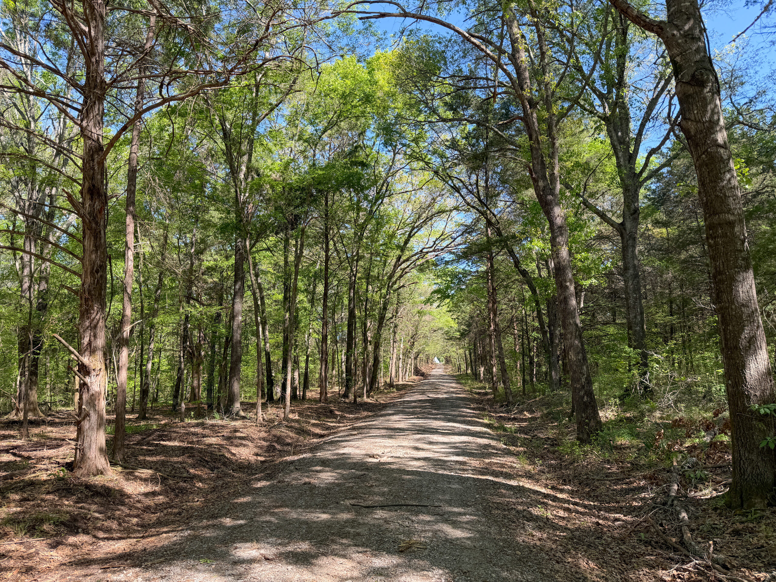 Texas Hunting & Recreational Land Auction