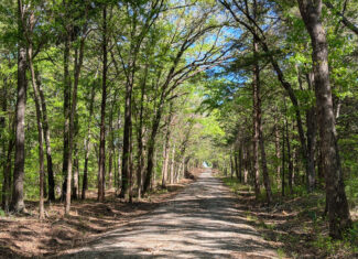 Texas Hunting & Recreational Land Auction