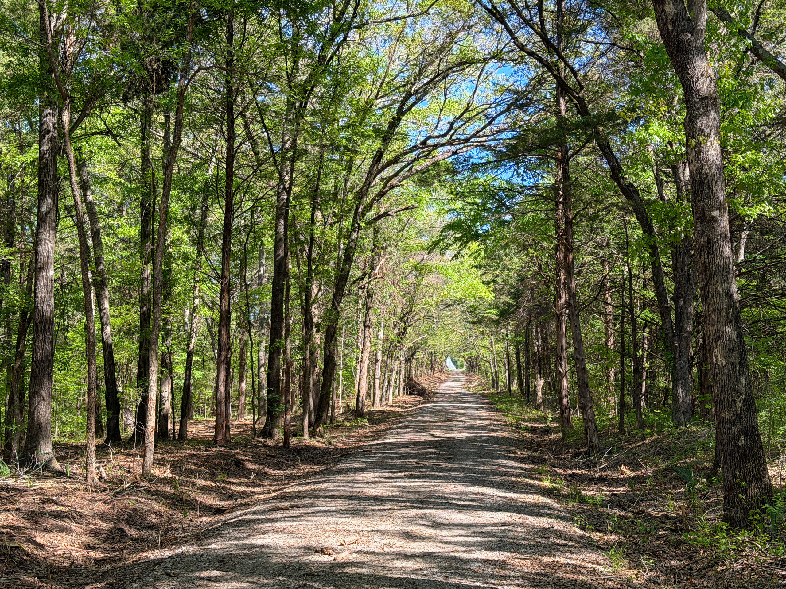 Texas Hunting & Recreational Land Auction