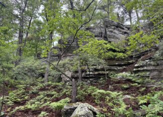 HUNTING LAND FOR SALE IN NORTH CENTRAL ARKANSAS