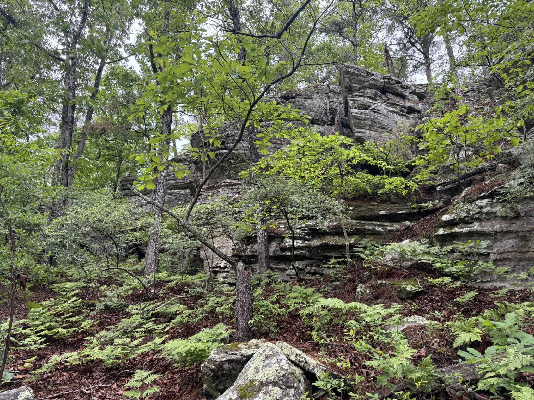 HUNTING LAND FOR SALE IN NORTH CENTRAL ARKANSAS