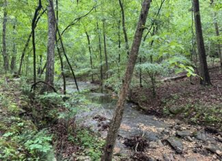 HUNTING LAND FOR SALE IN NORTH CENTRAL ARKANSAS