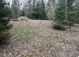 25+ Acres w/ Build Site + State Land Access – Hunt & Build in One Spot