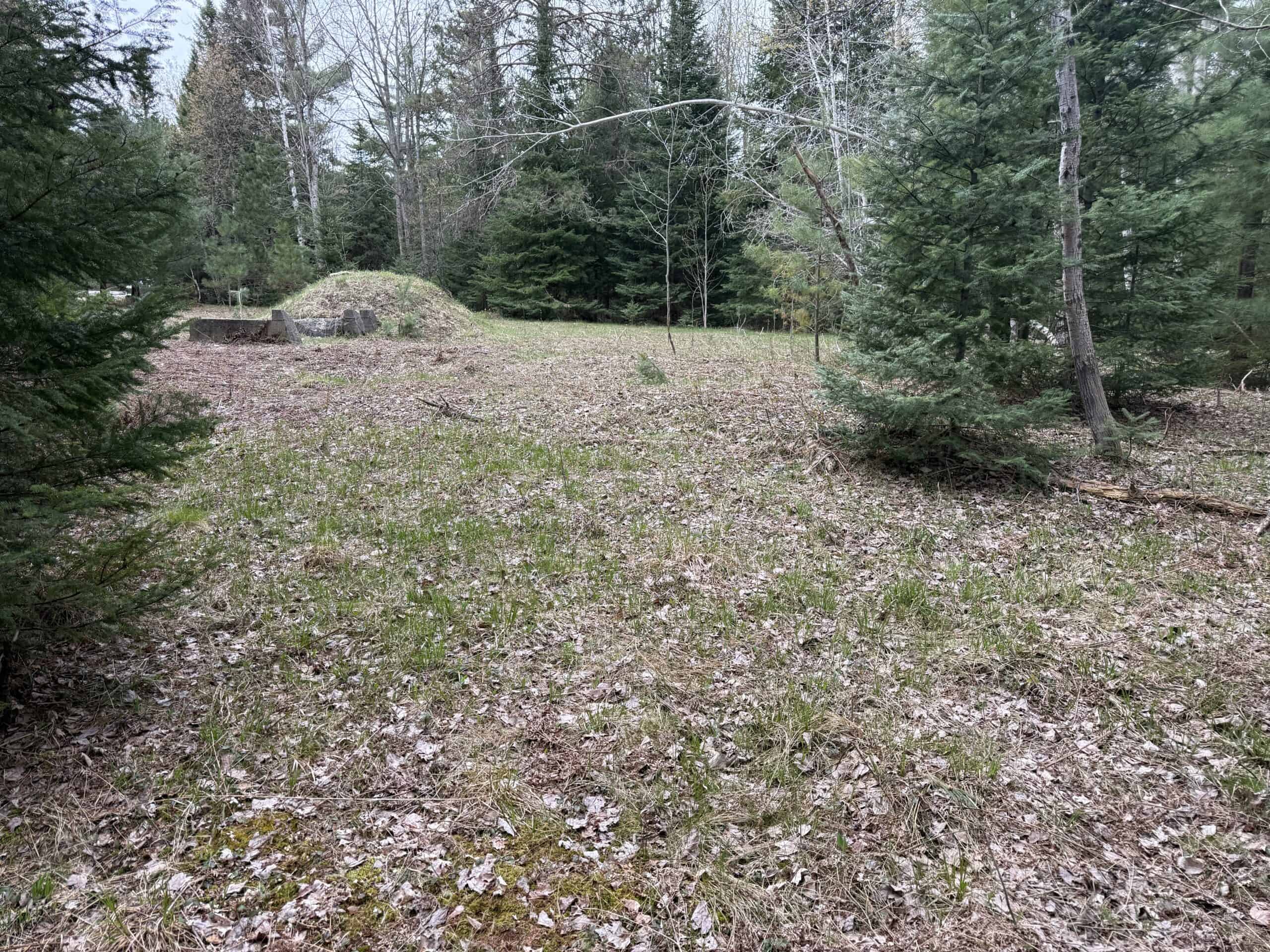 25+ Acres w/ Build Site + State Land Access – Hunt & Build in One Spot