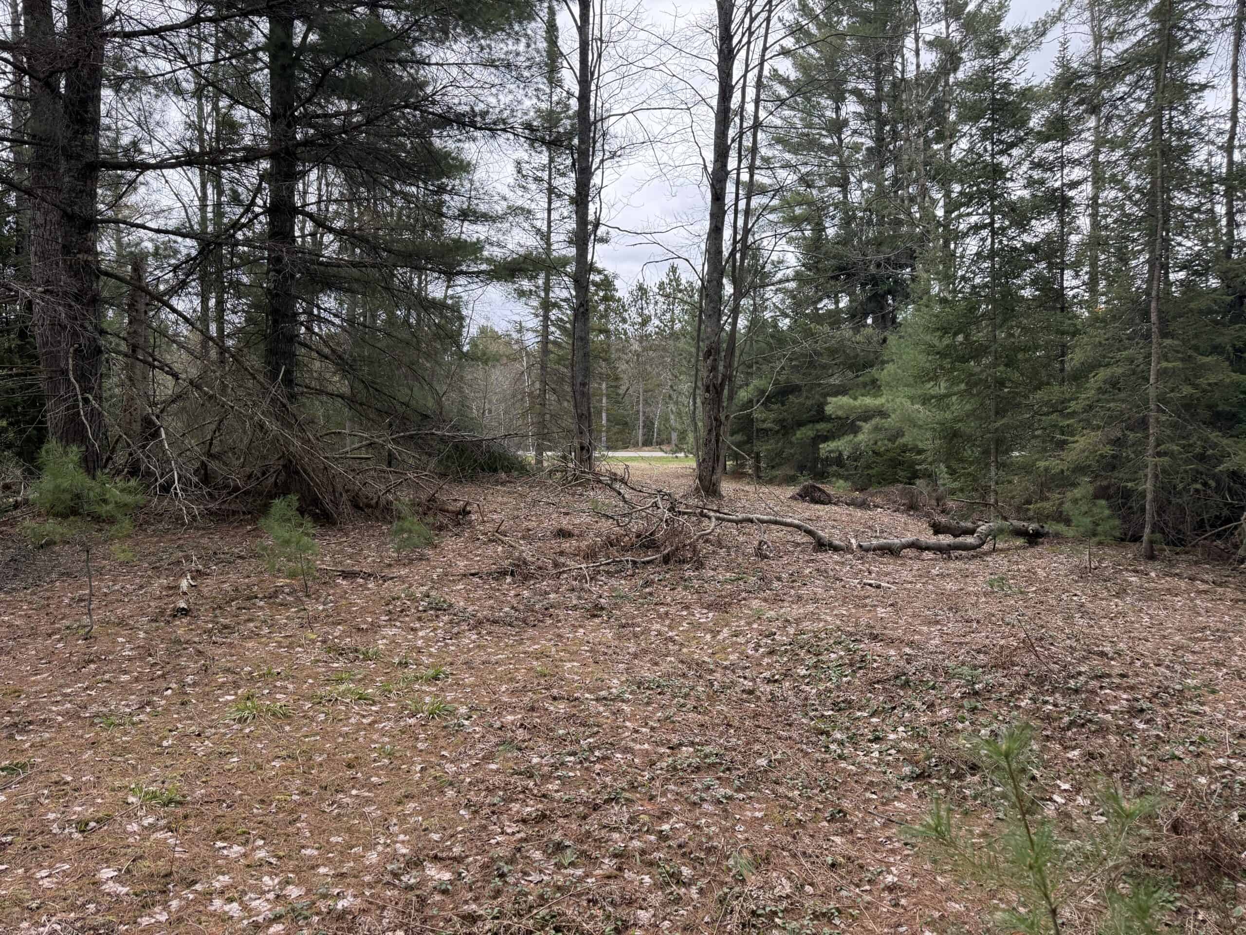 25+ Acres w/ Build Site + State Land Access – Hunt & Build in One Spot