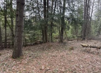 33.5 Acres – Ultimate Hunting Basecamp w/ US-131 Frontage + Direct State Land Access