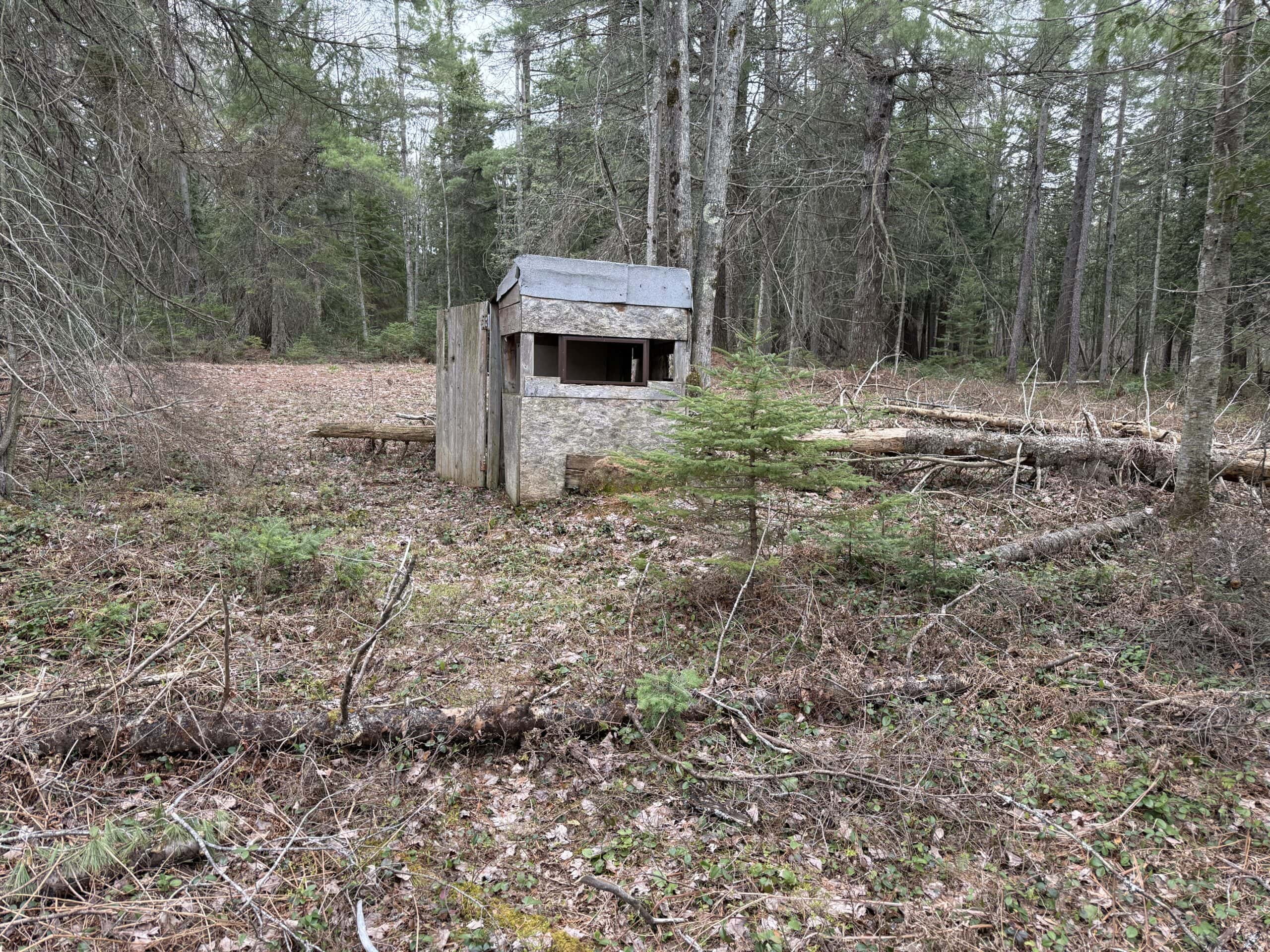 25+ Acres w/ Build Site + State Land Access – Hunt & Build in One Spot