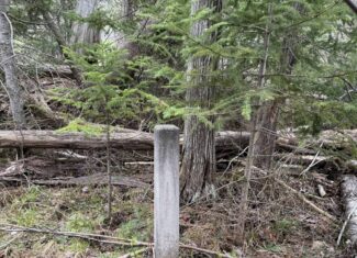 33.5 Acres – Ultimate Hunting Basecamp w/ US-131 Frontage + Direct State Land Access
