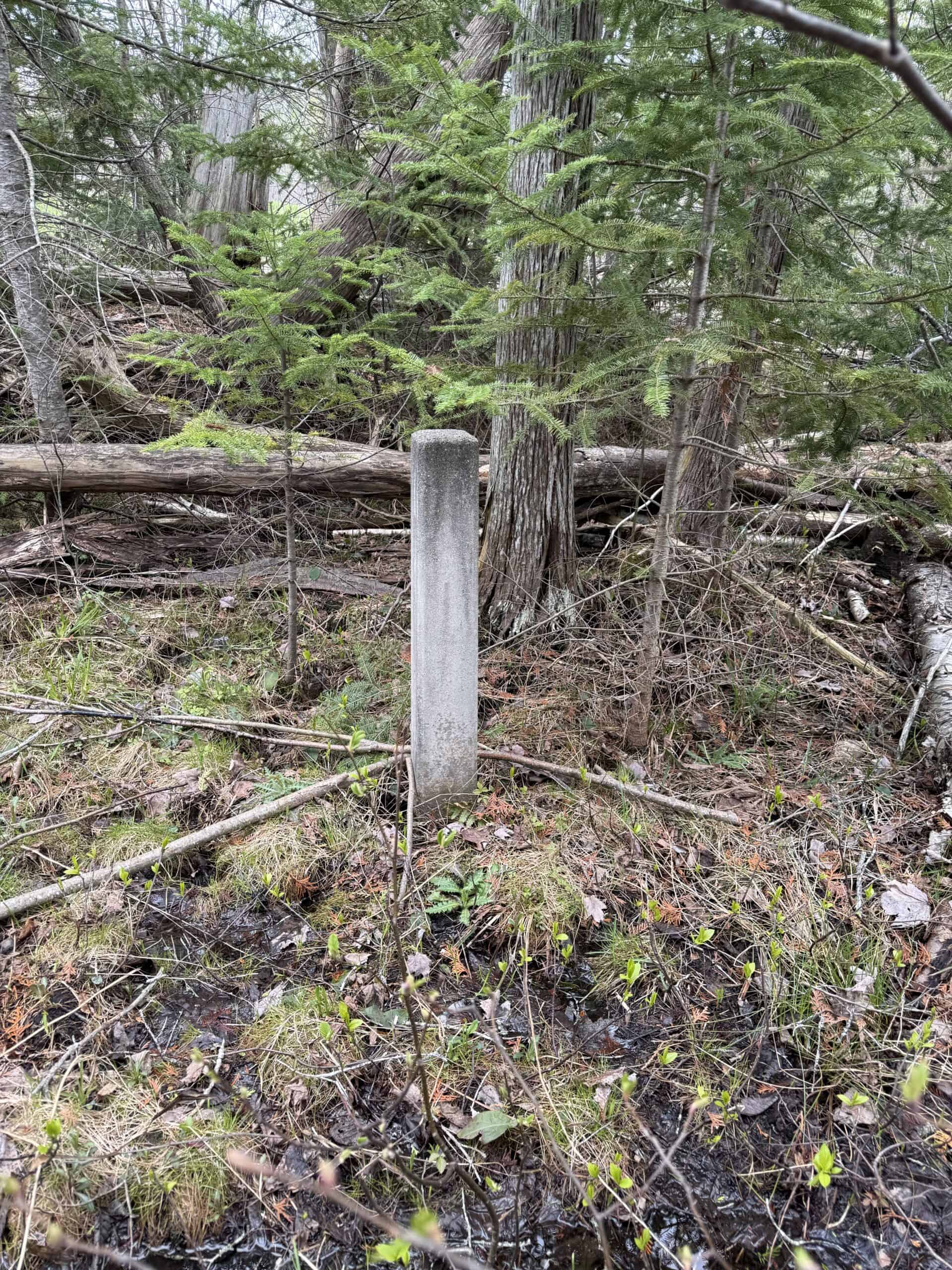 33.5 Acres – Ultimate Hunting Basecamp w/ US-131 Frontage + Direct State Land Access