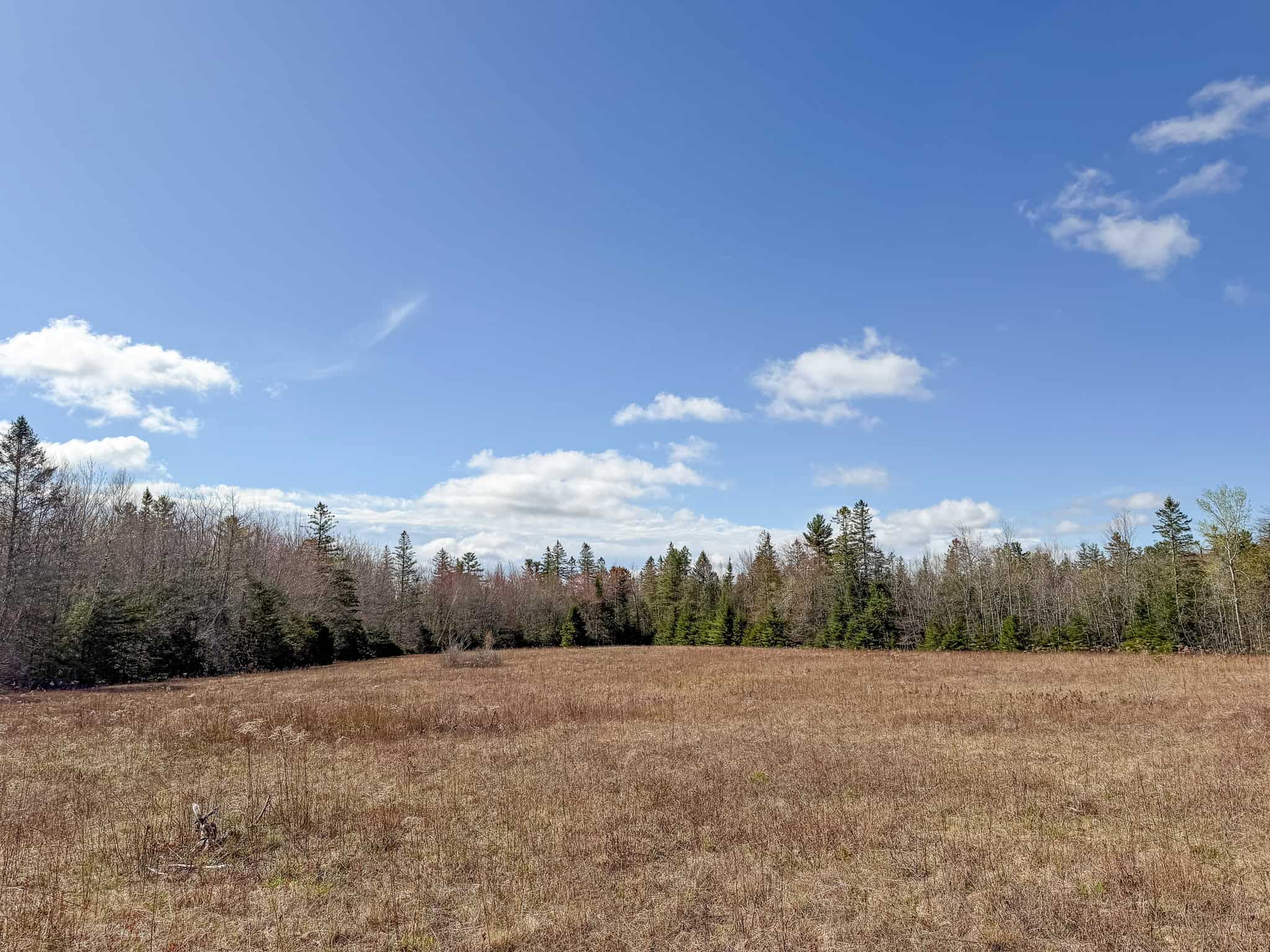 Large Land Parcel with Potential – Ellsworth, Maine