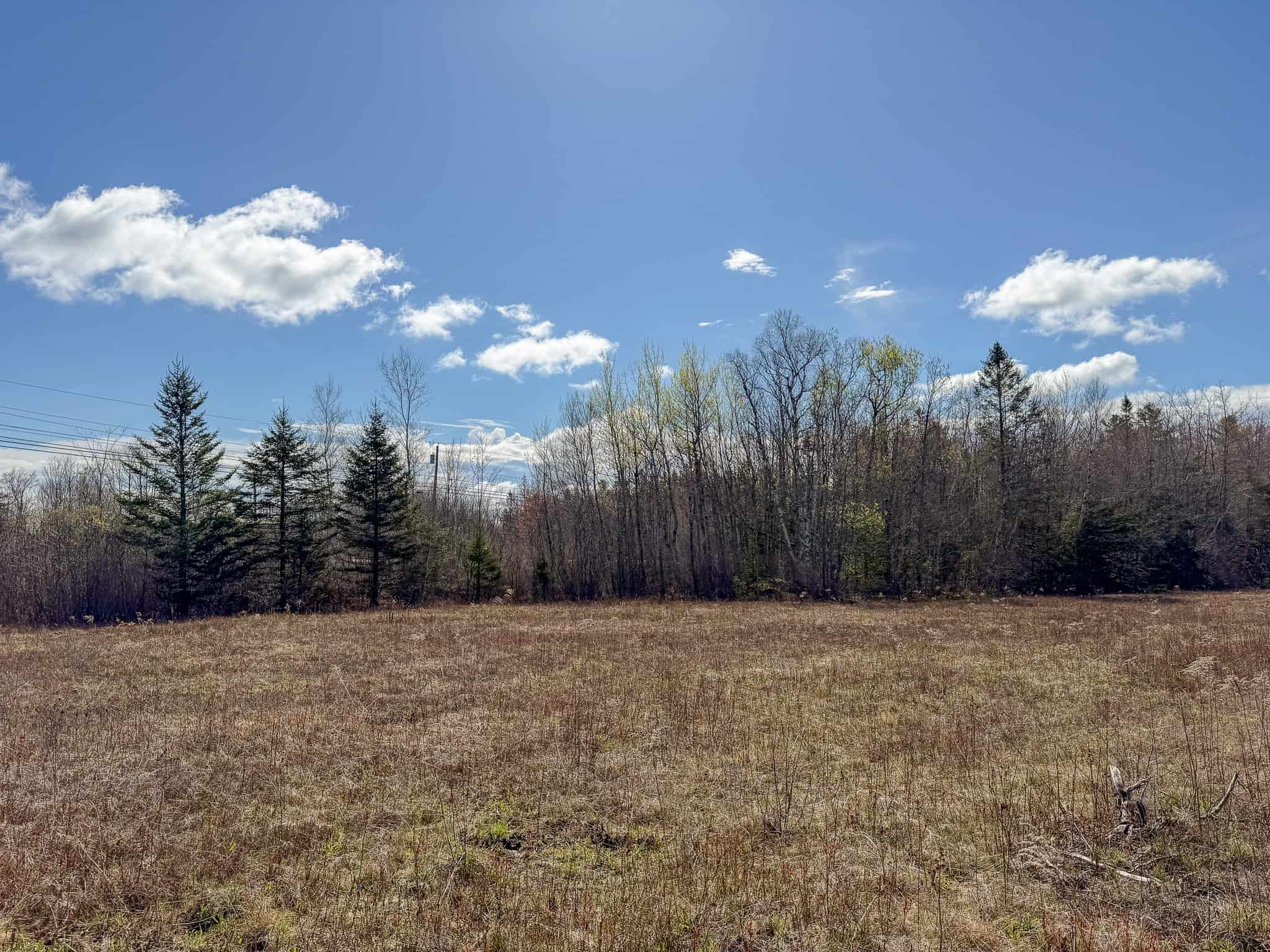 Large Land Parcel with Potential – Ellsworth, Maine