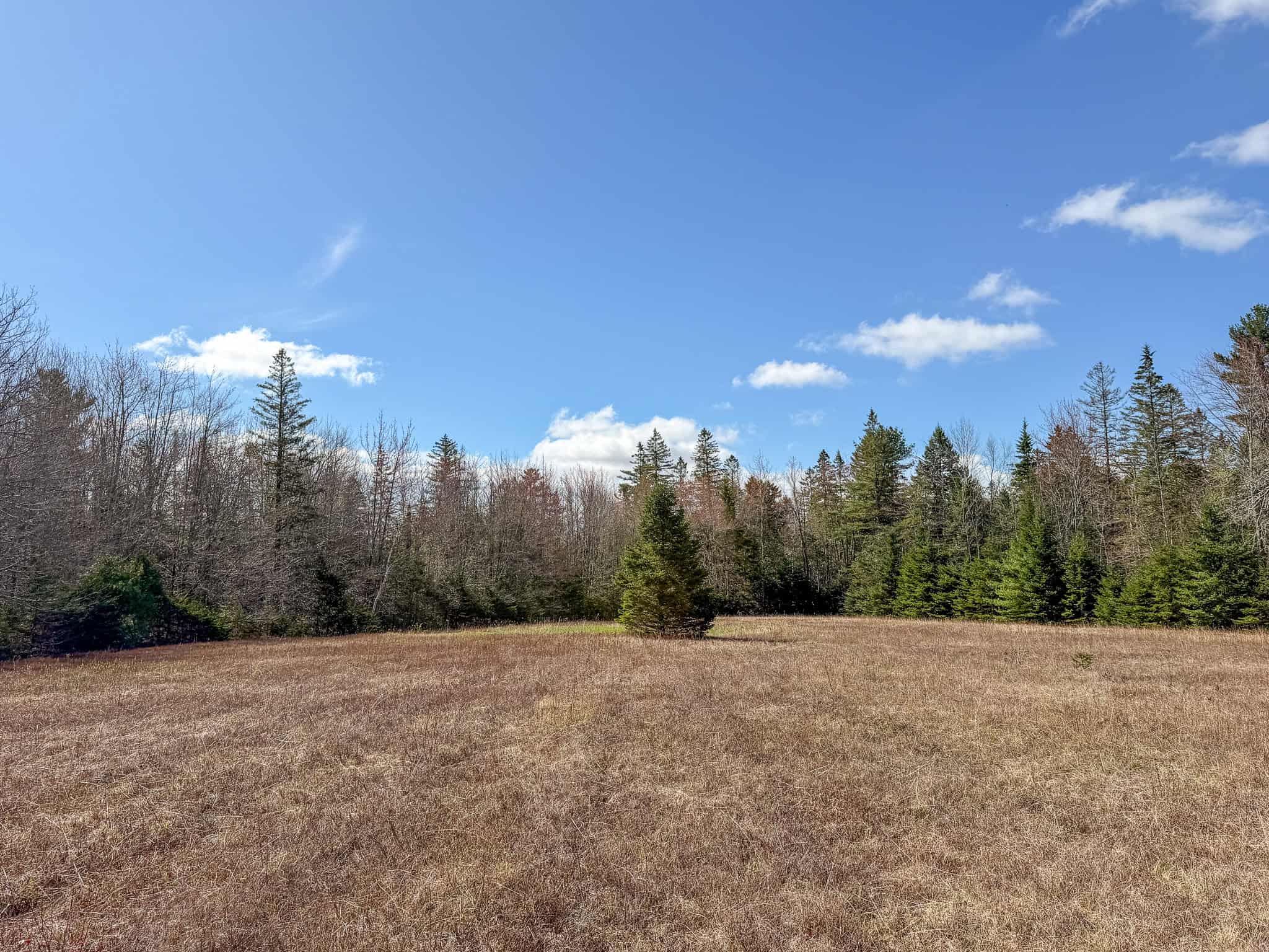 Large Land Parcel with Potential – Ellsworth, Maine