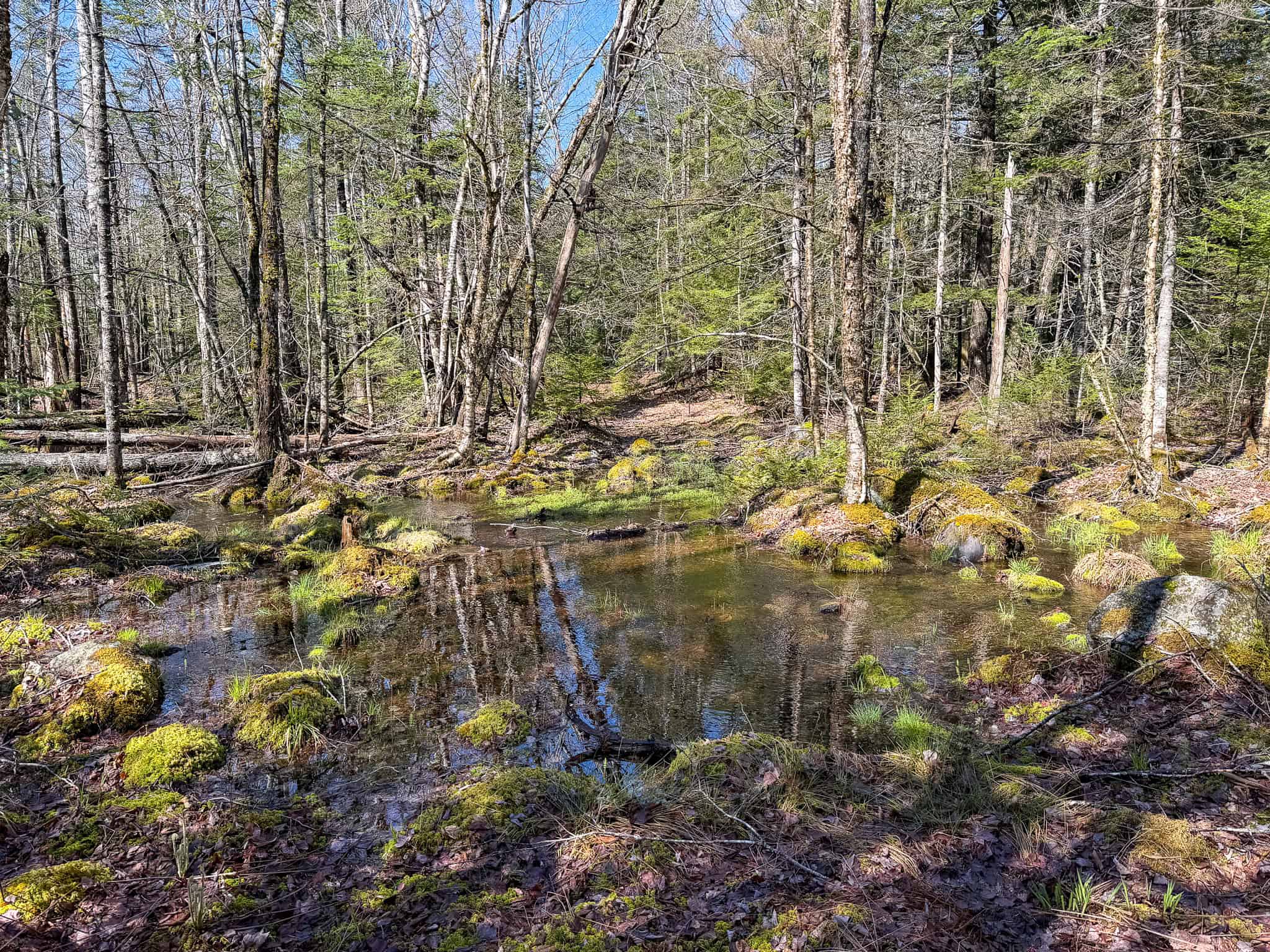 Large Land Parcel with Potential – Ellsworth, Maine