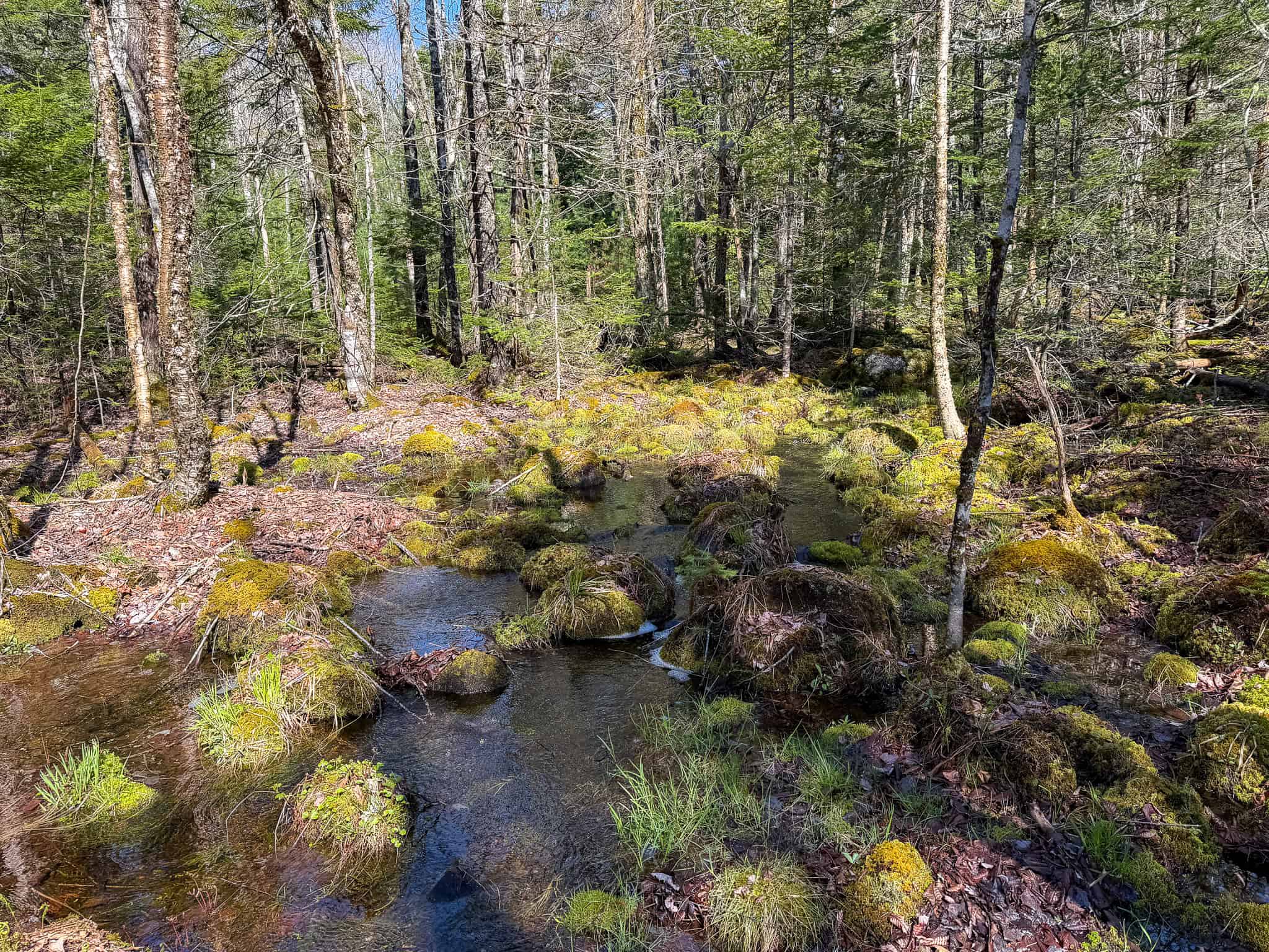 Large Land Parcel with Potential – Ellsworth, Maine