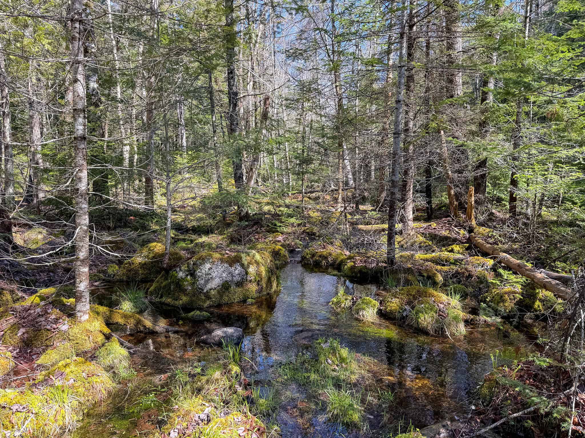 Large Land Parcel with Potential – Ellsworth, Maine