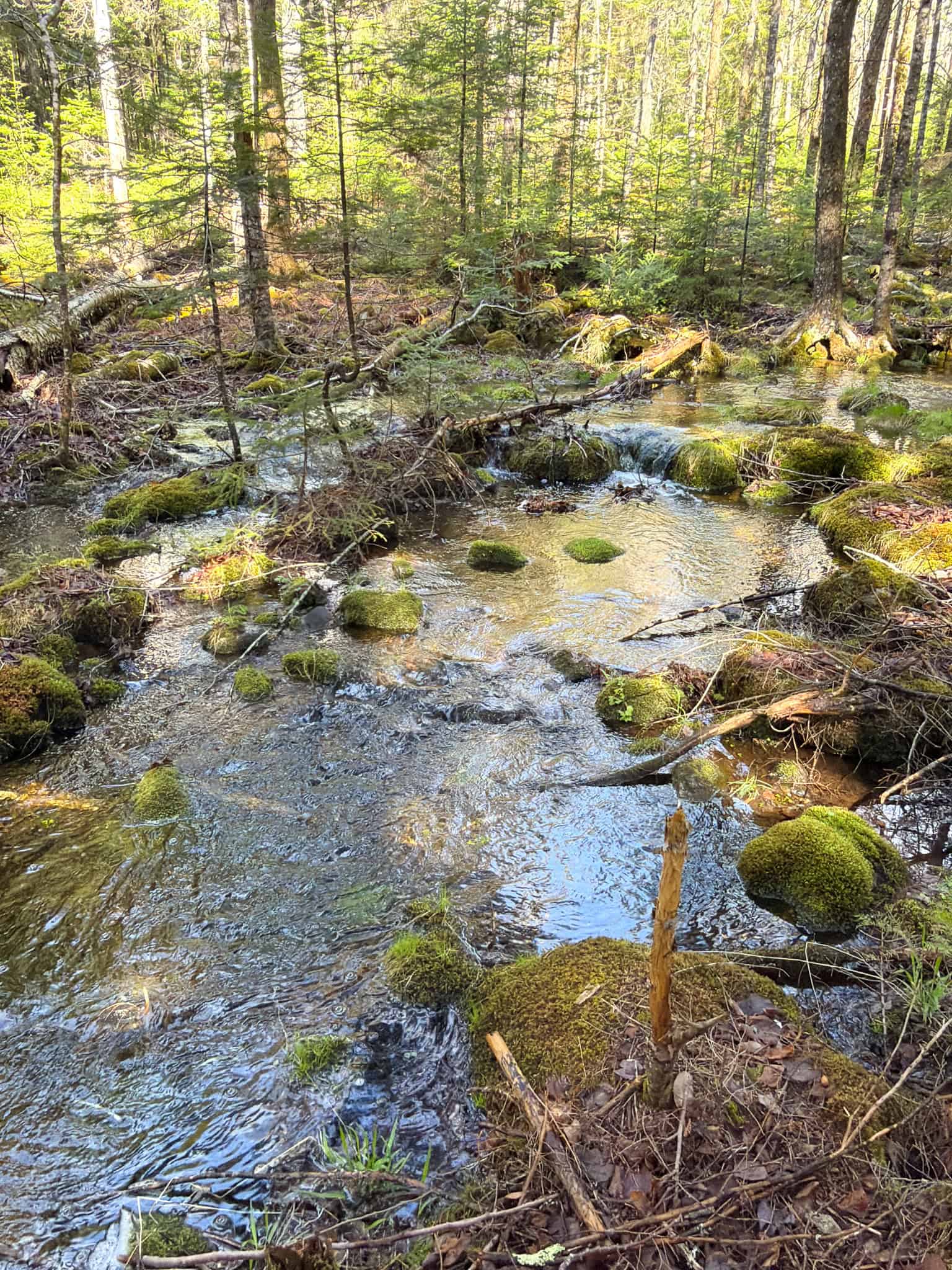Large Land Parcel with Potential – Ellsworth, Maine