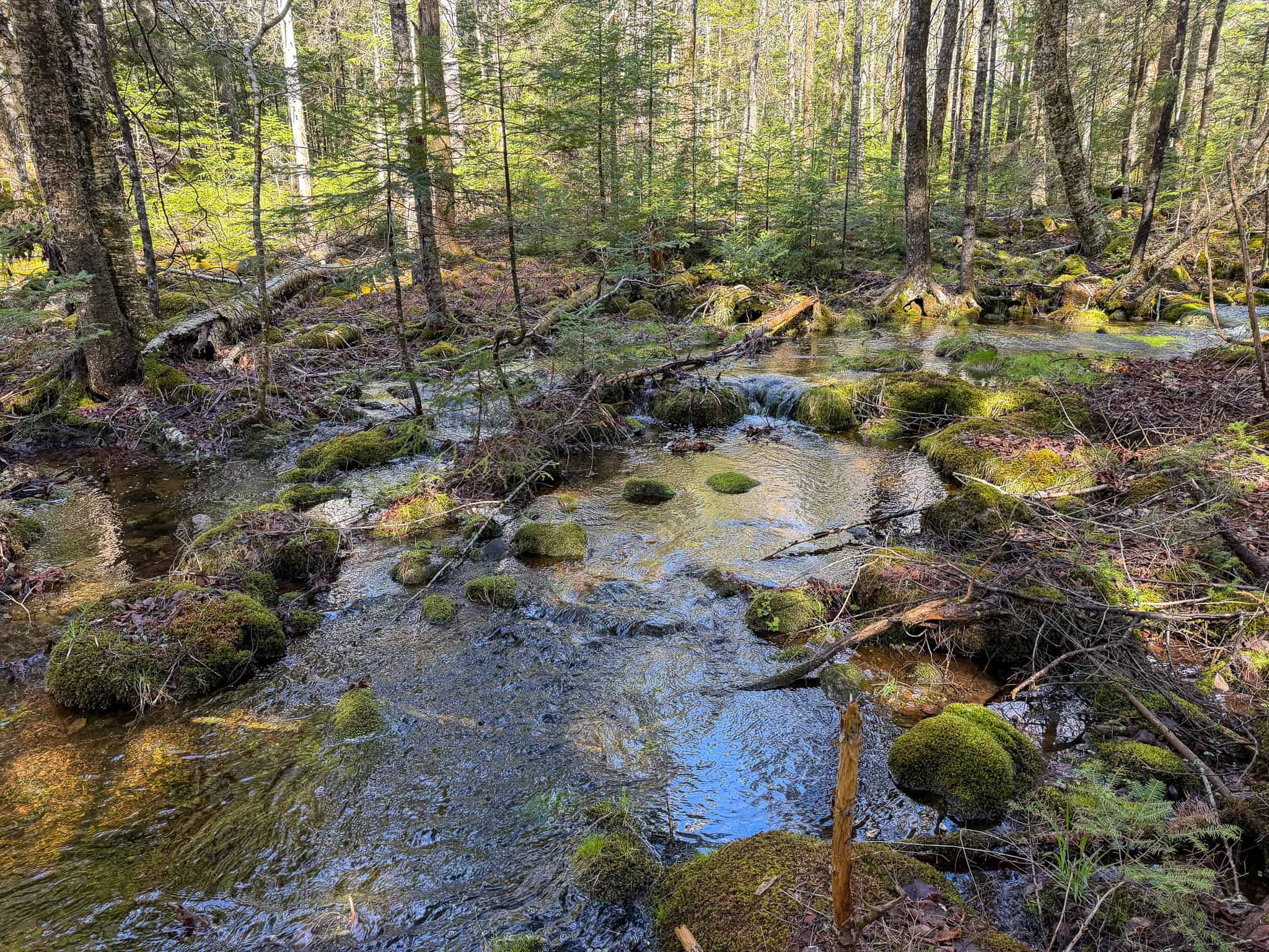 Large Land Parcel with Potential – Ellsworth, Maine