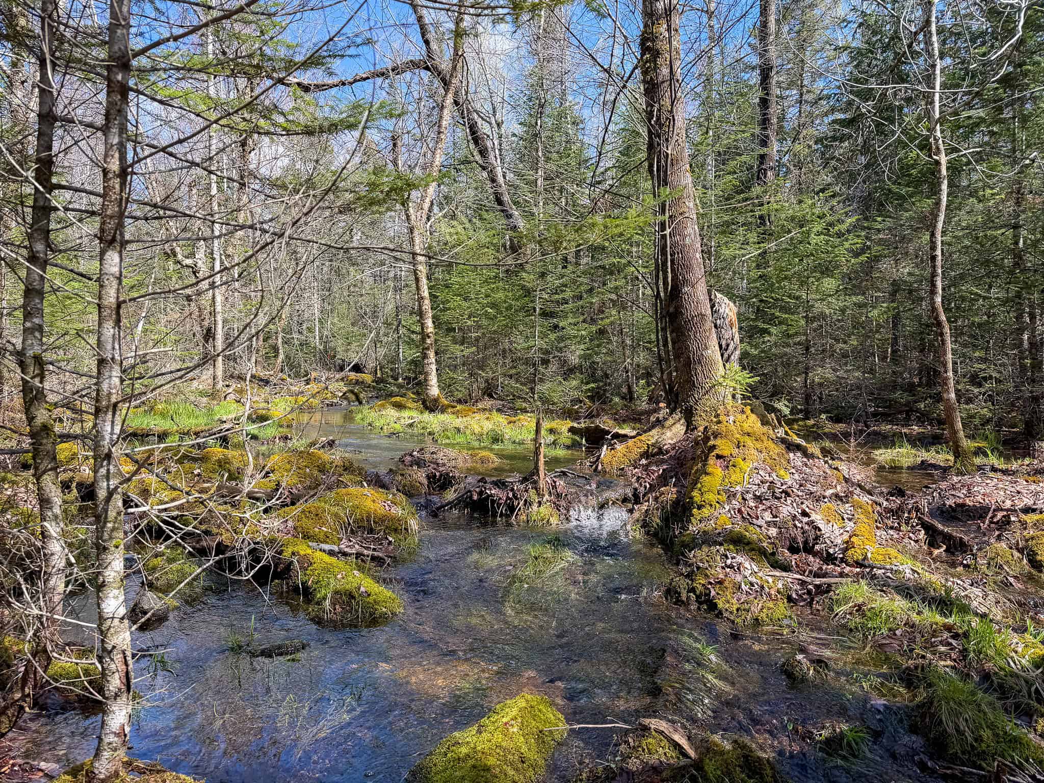 Large Land Parcel with Potential – Ellsworth, Maine