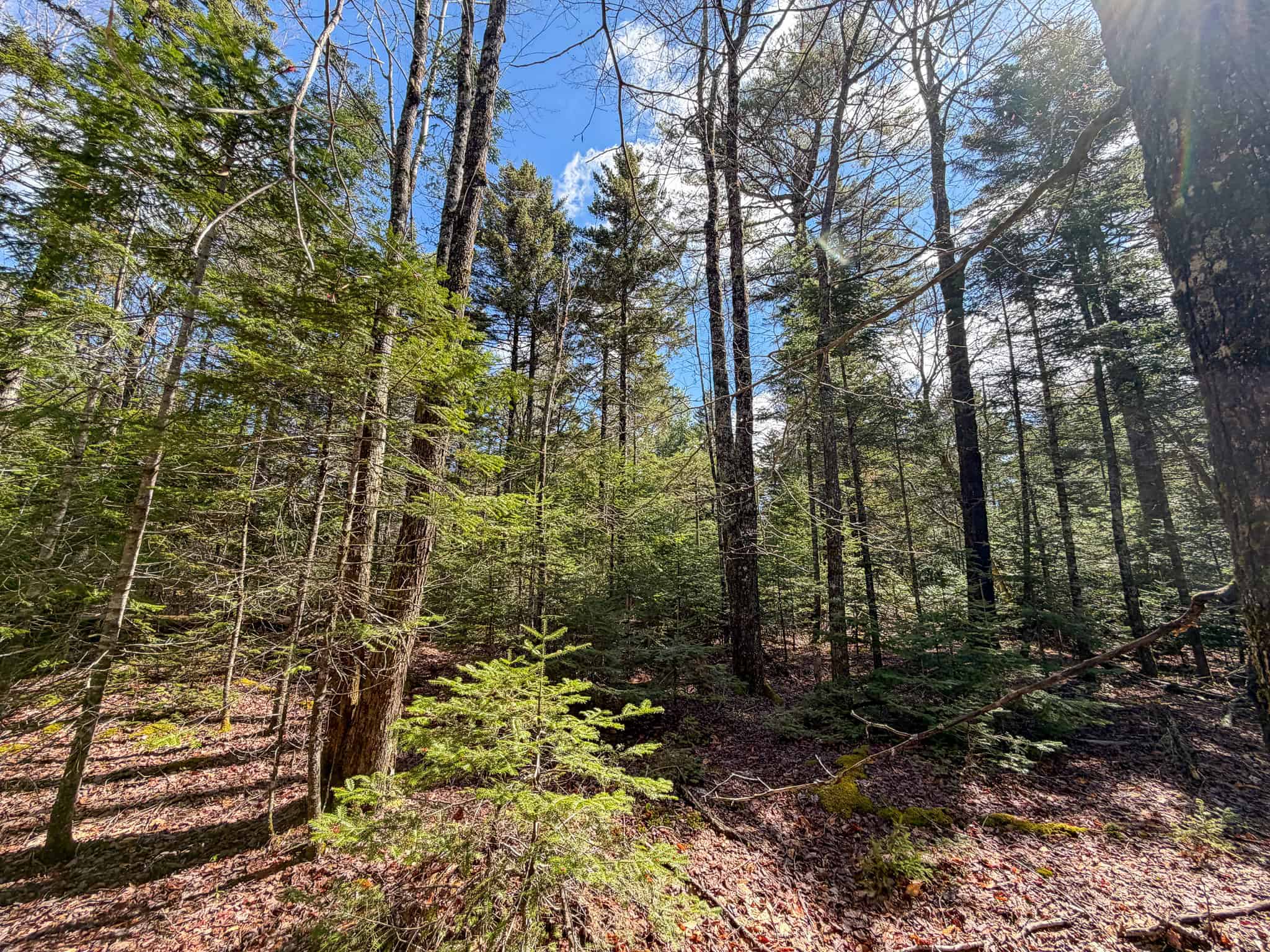 Large Land Parcel with Potential – Ellsworth, Maine