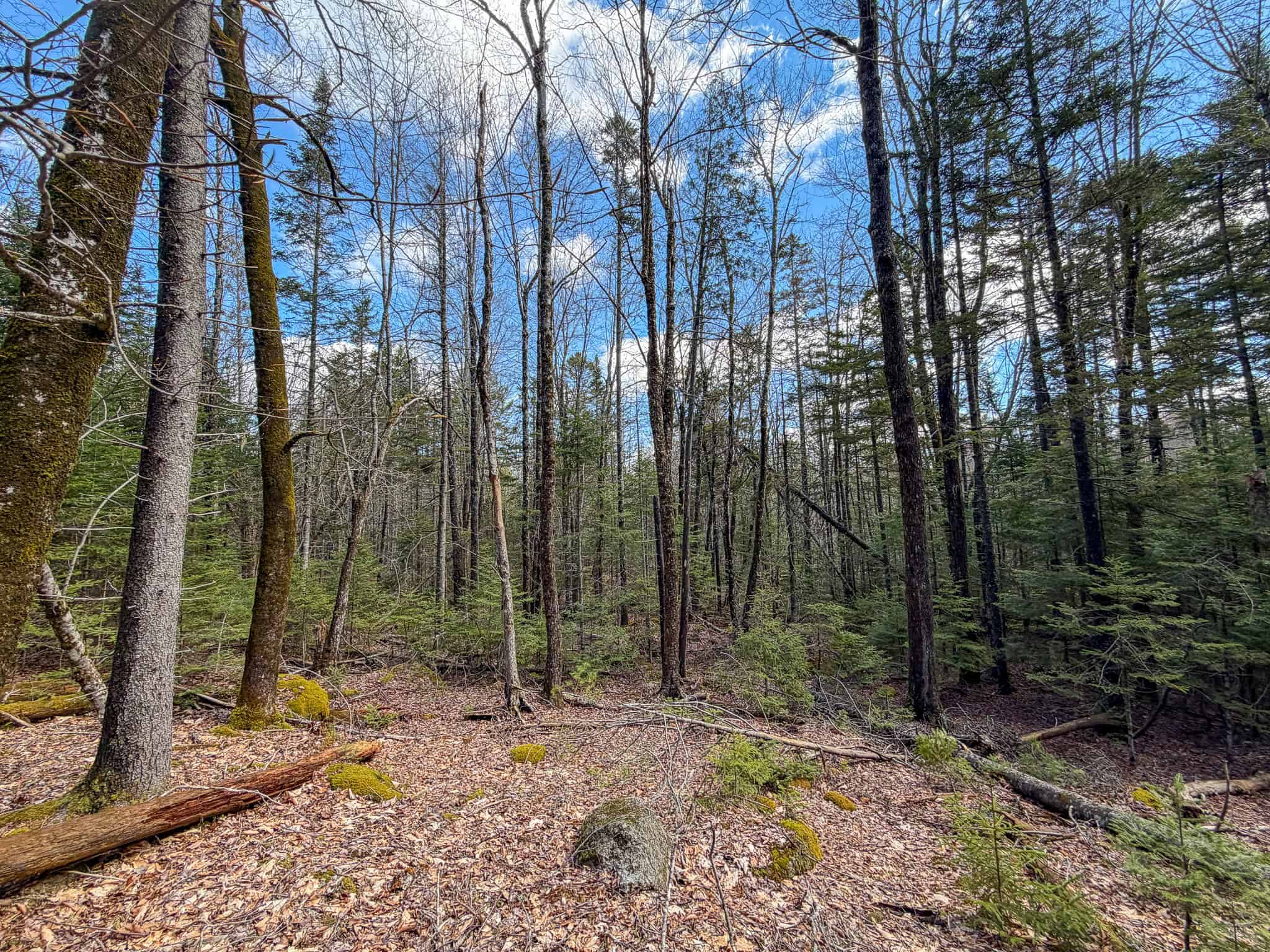 Large Land Parcel with Potential – Ellsworth, Maine