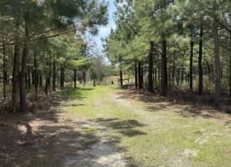 CABIN WITH HUNTING LAND FOR SALE IN NORTH CENTRAL ARKANSAS