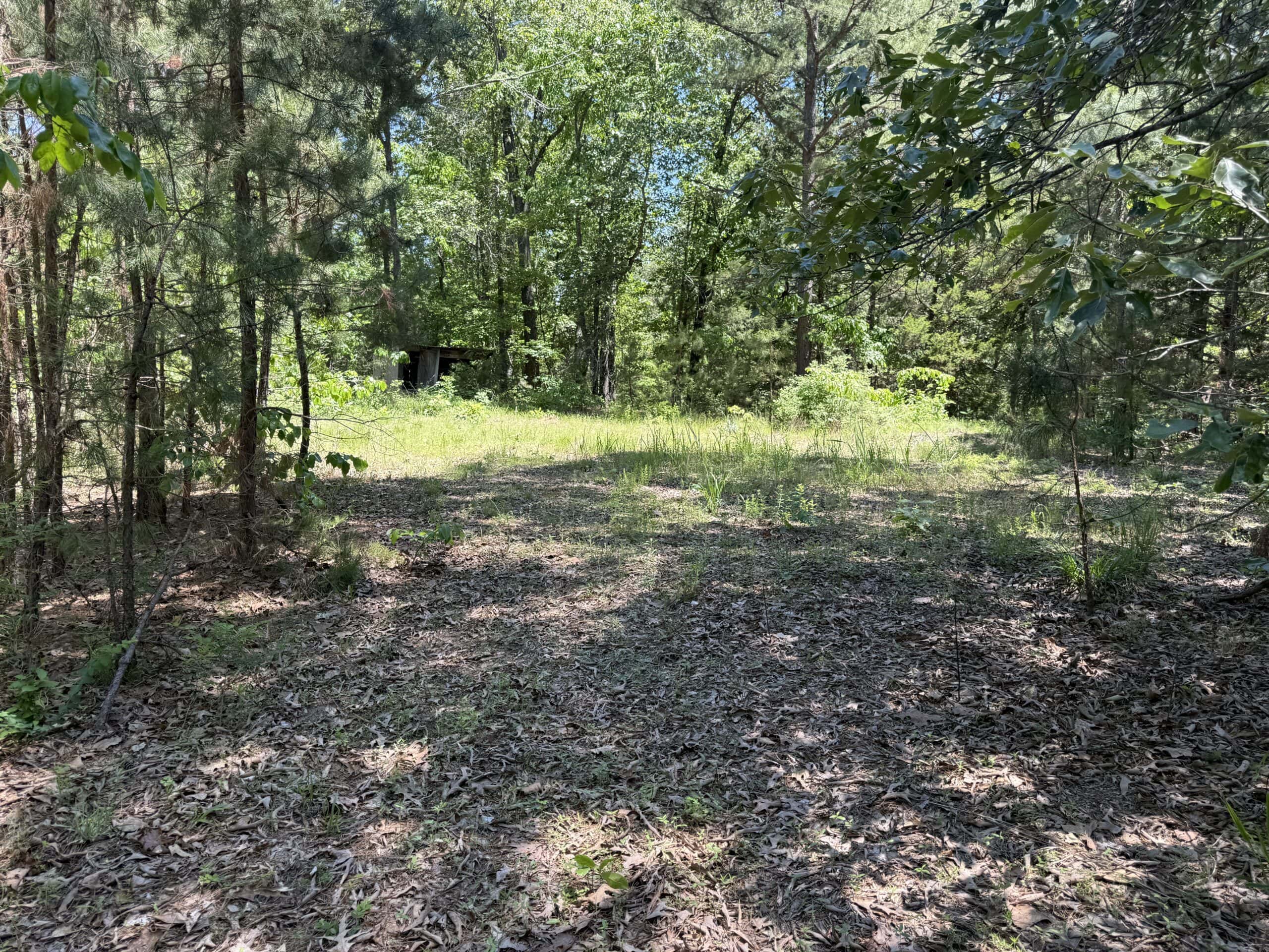 HUNTING LAND FOR SALE IN NORTH CENTRAL ARKANSAS
