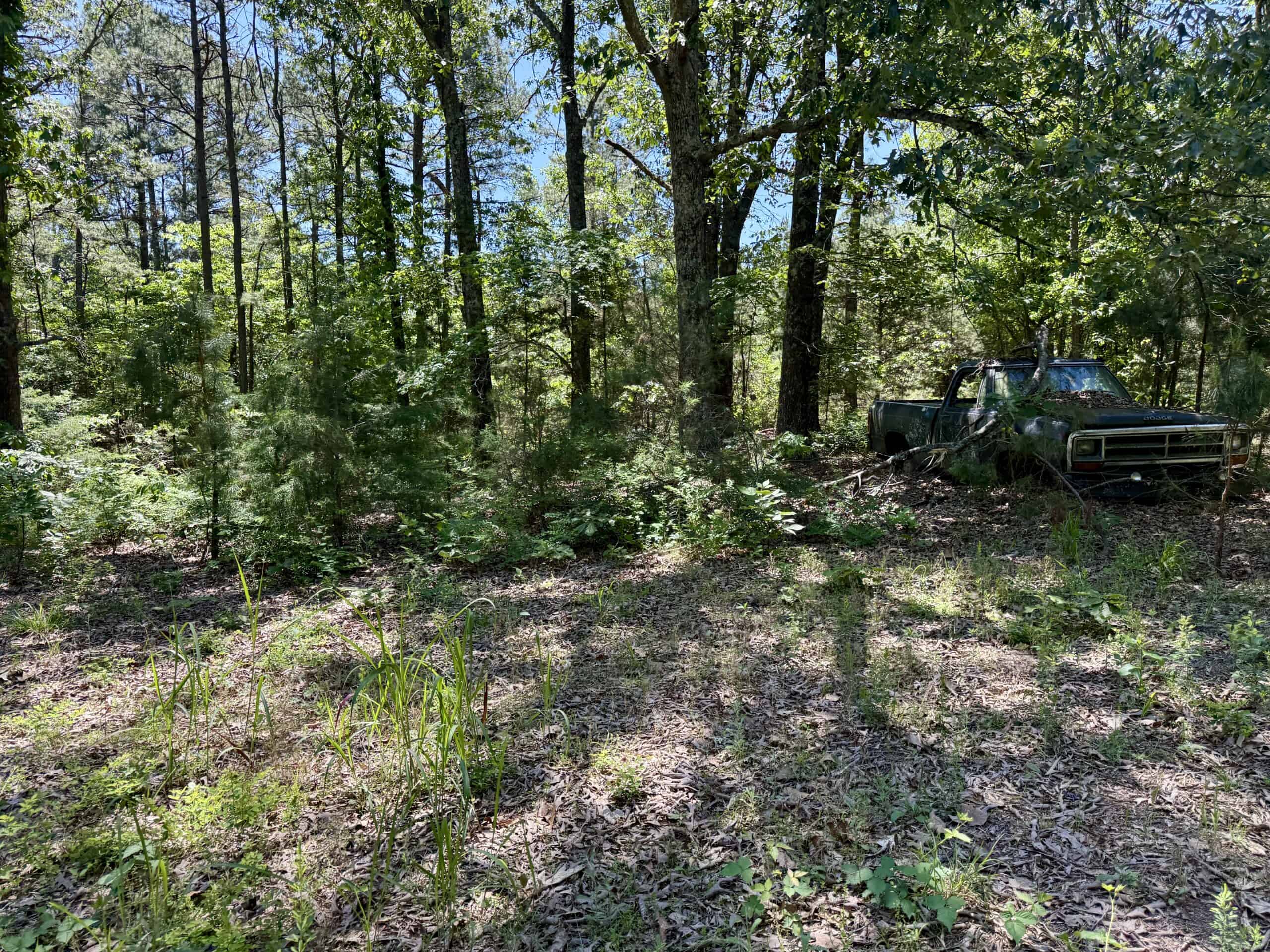 HUNTING LAND FOR SALE IN NORTH CENTRAL ARKANSAS